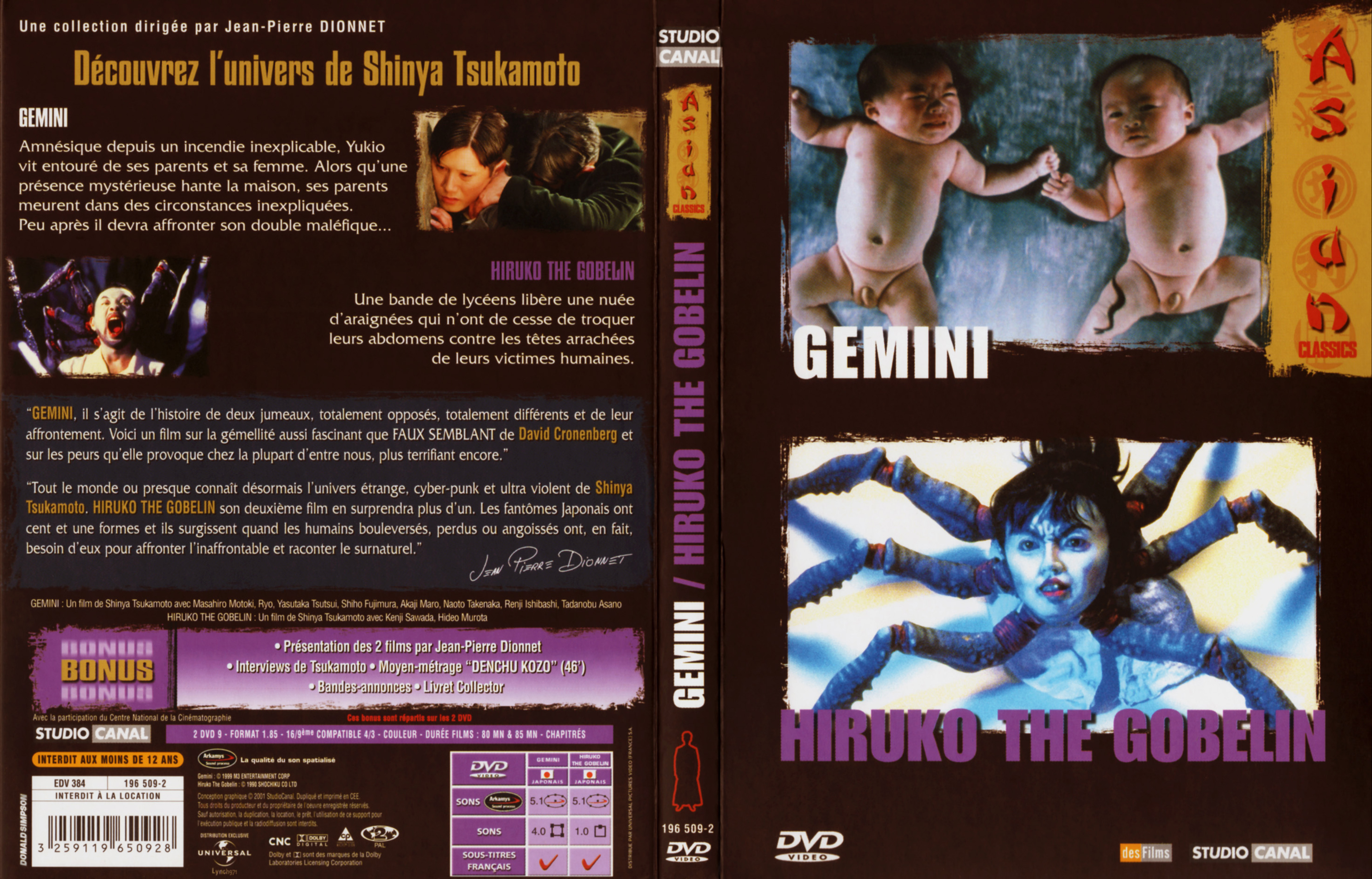 Jaquette DVD Gemini + Hiroku the goblin