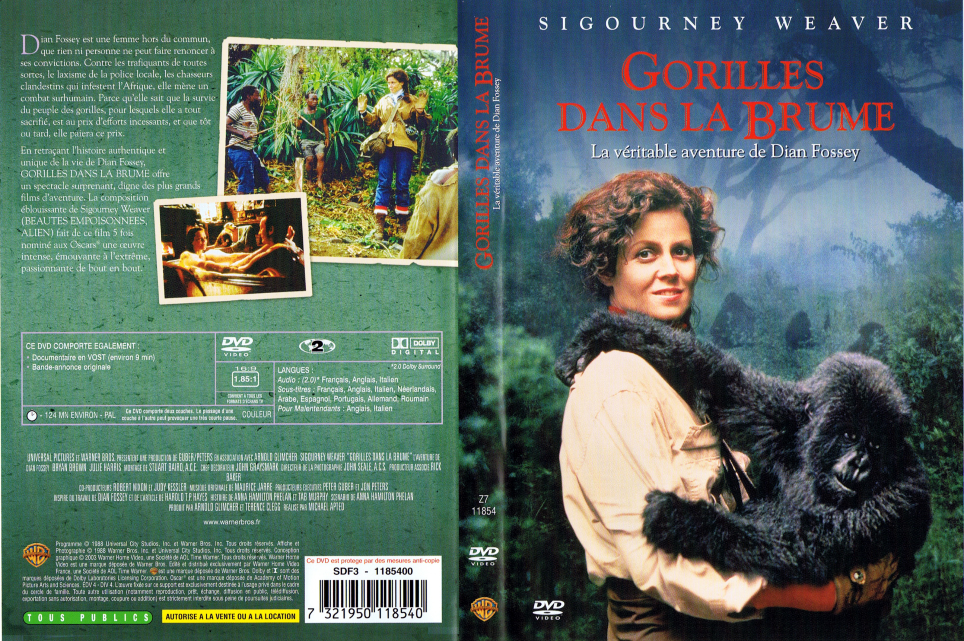Jaquette DVD Gorilles dans la brumes