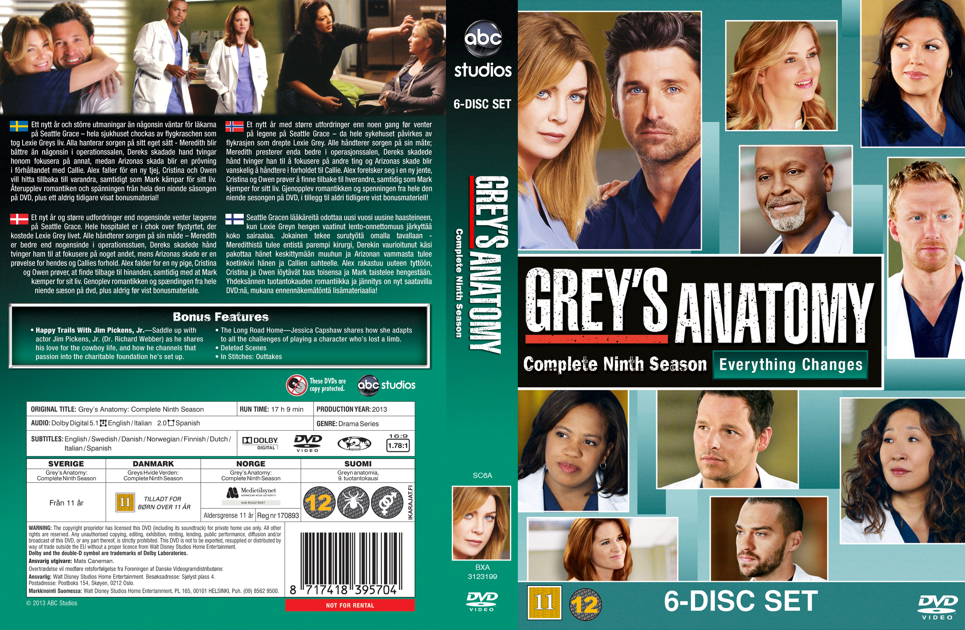 Jaquette DVD Grey