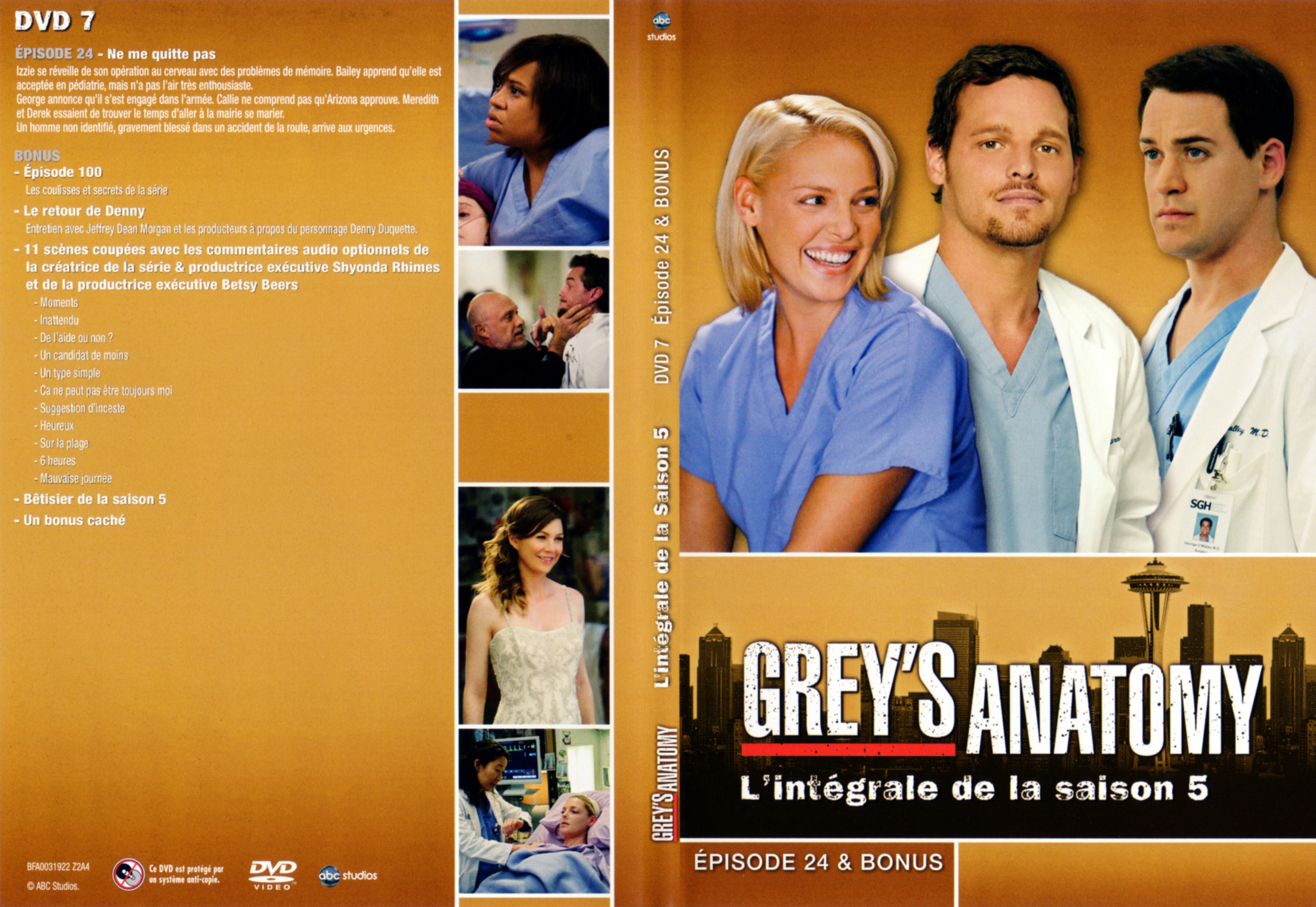 Jaquette DVD Grey