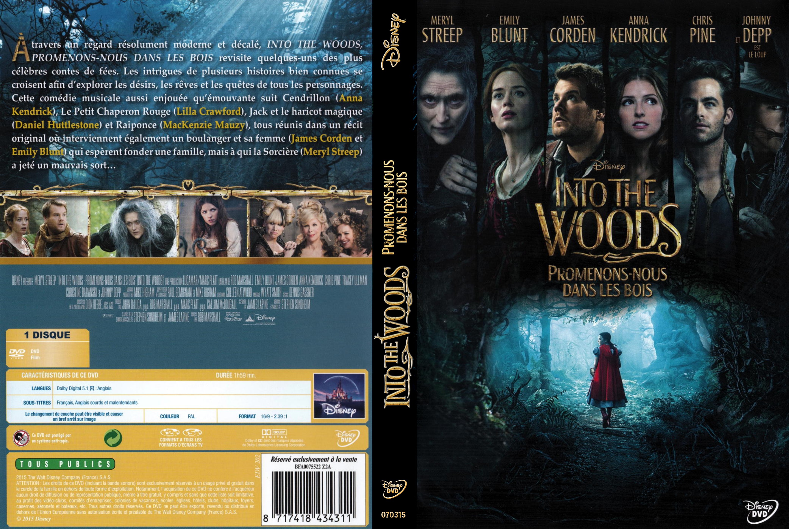 Jaquette DVD Into the Woods