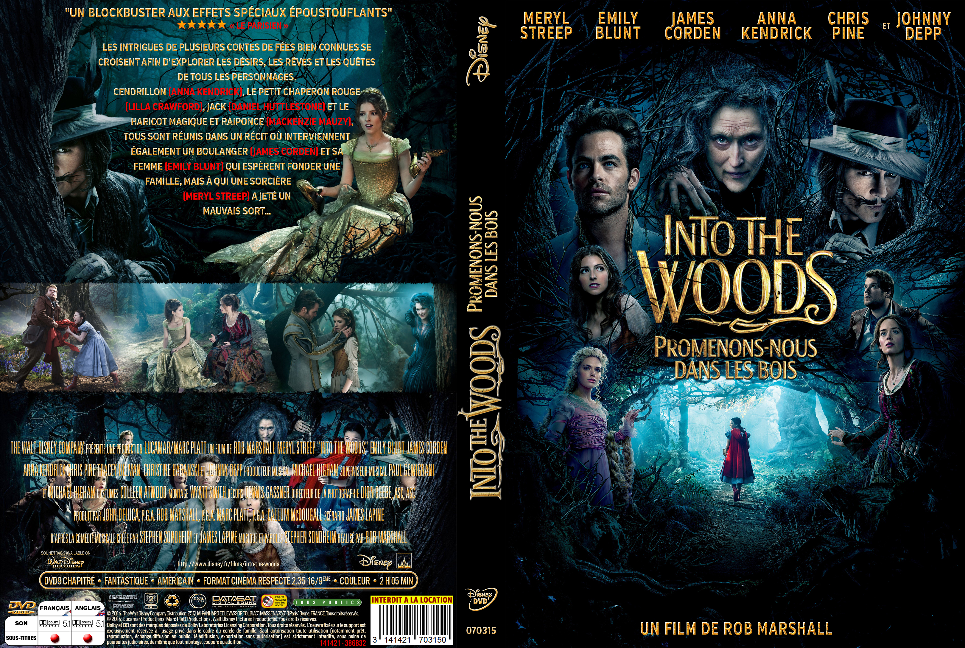 Jaquette DVD Into the Woods custom