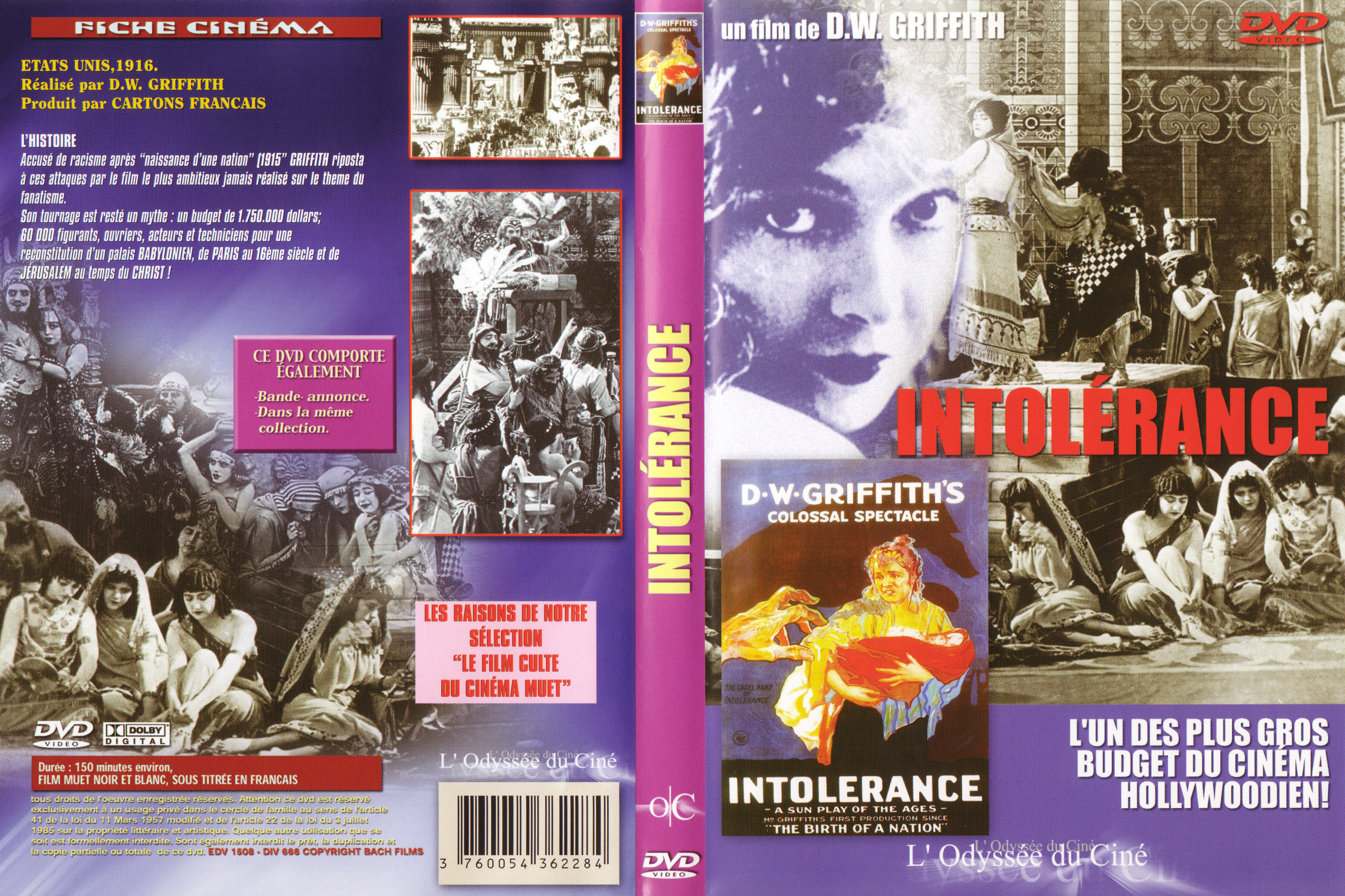 Jaquette DVD Intolerance v2