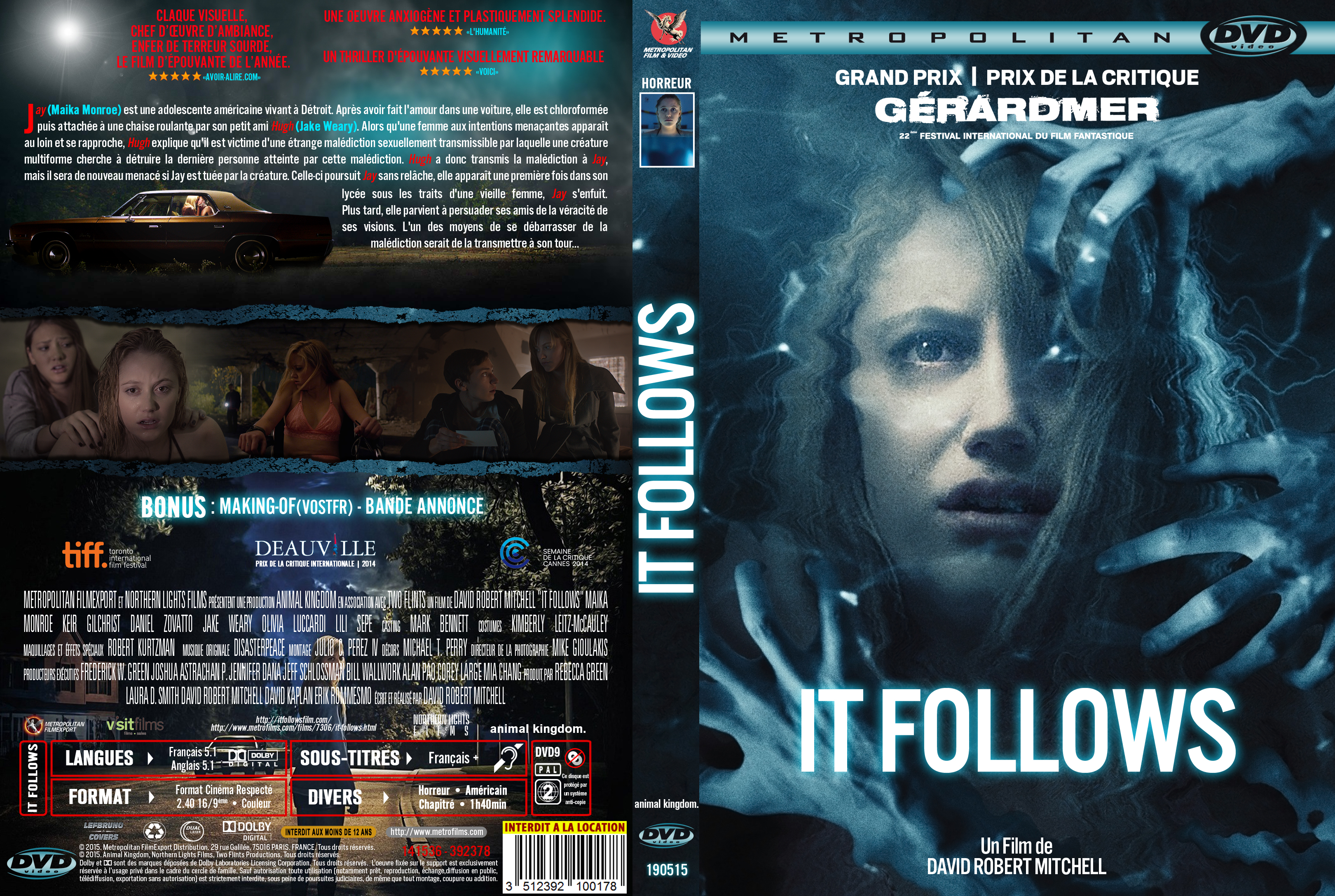 Jaquette DVD It Follows custom