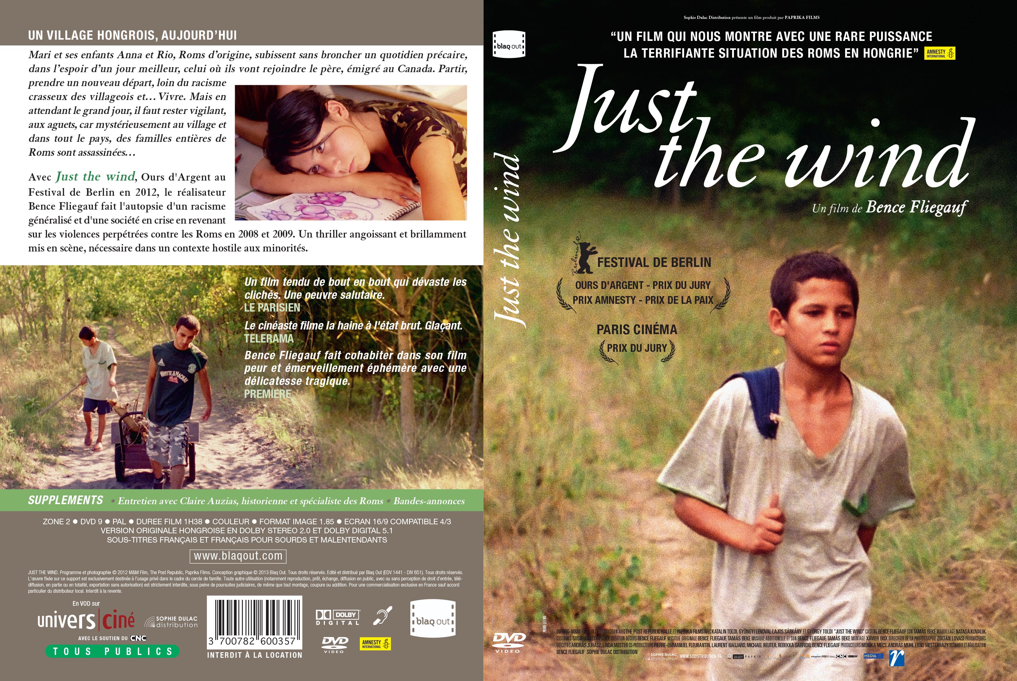 Jaquette DVD Just the Wind