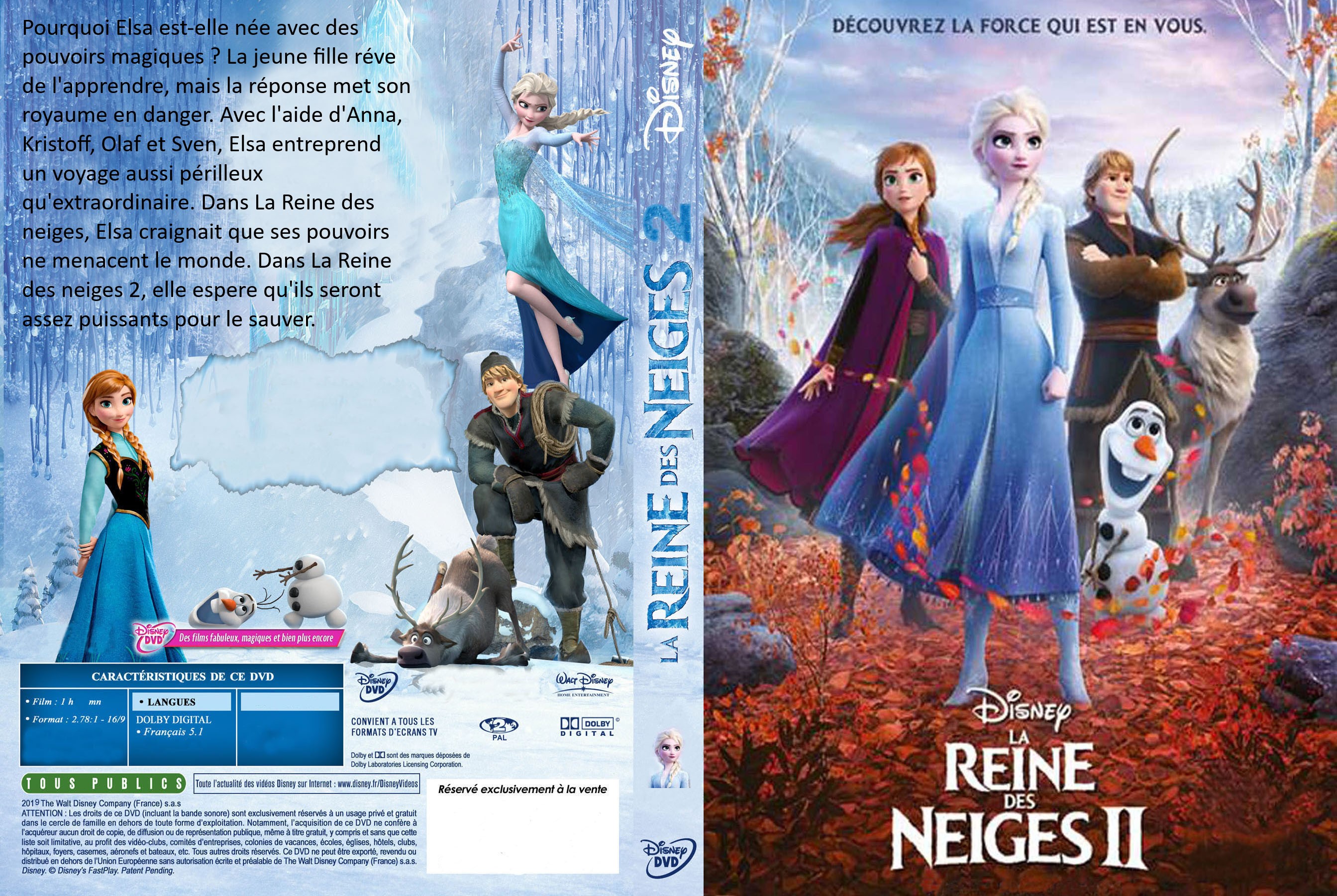 Jaquette DVD La Reine des neiges 2 custom