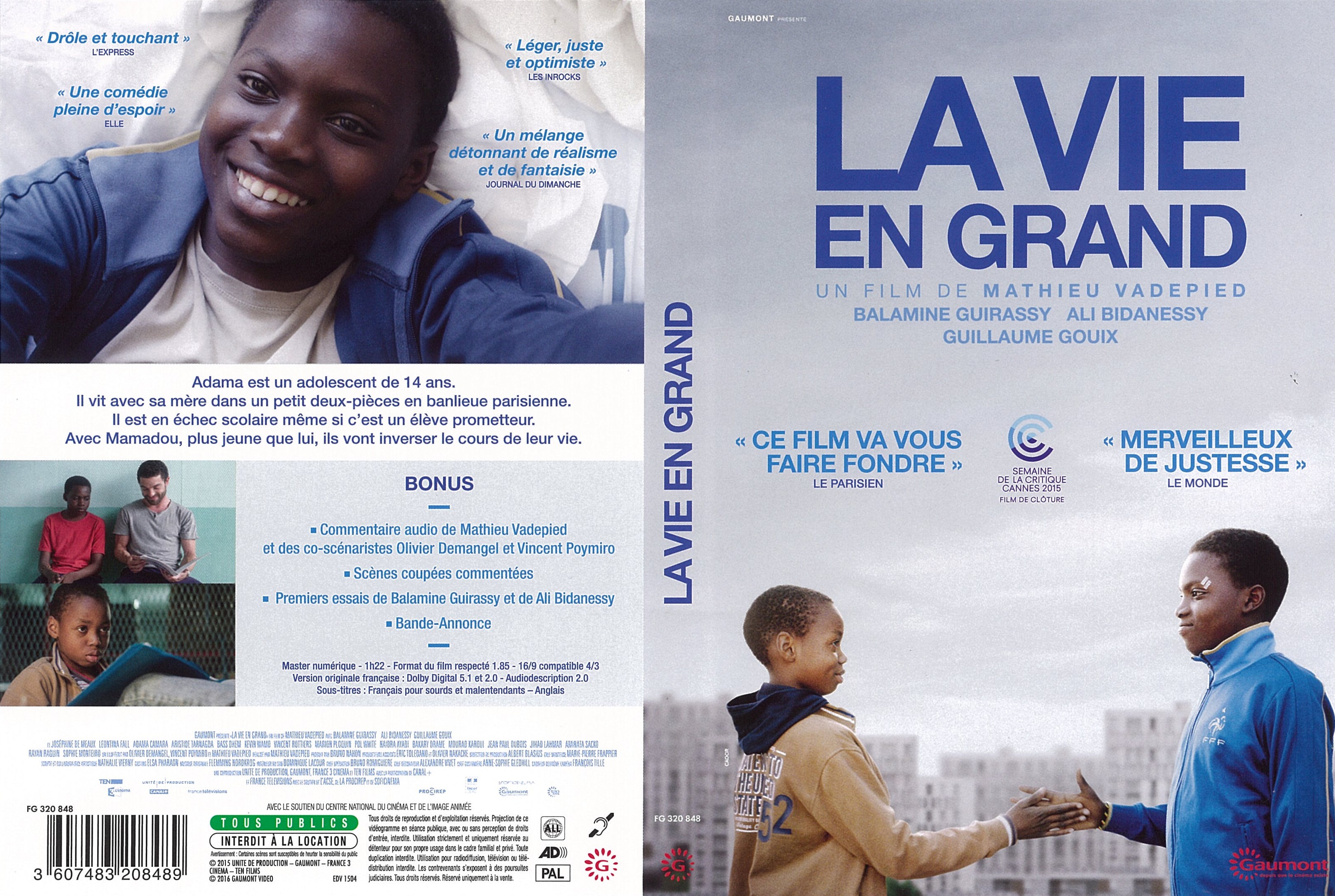 Jaquette DVD La Vie en grand