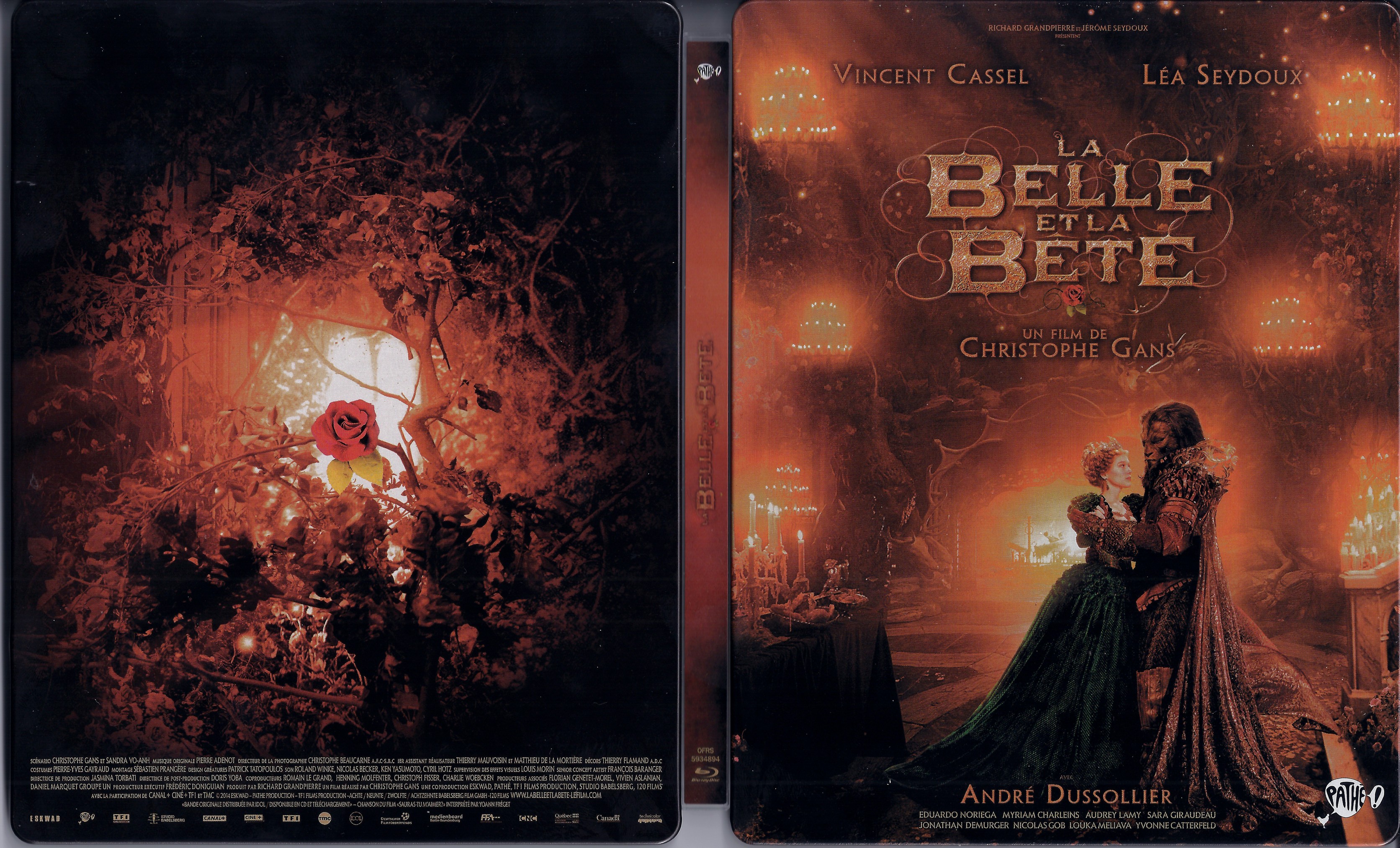 Jaquette DVD La belle et la bte (2014) v2
