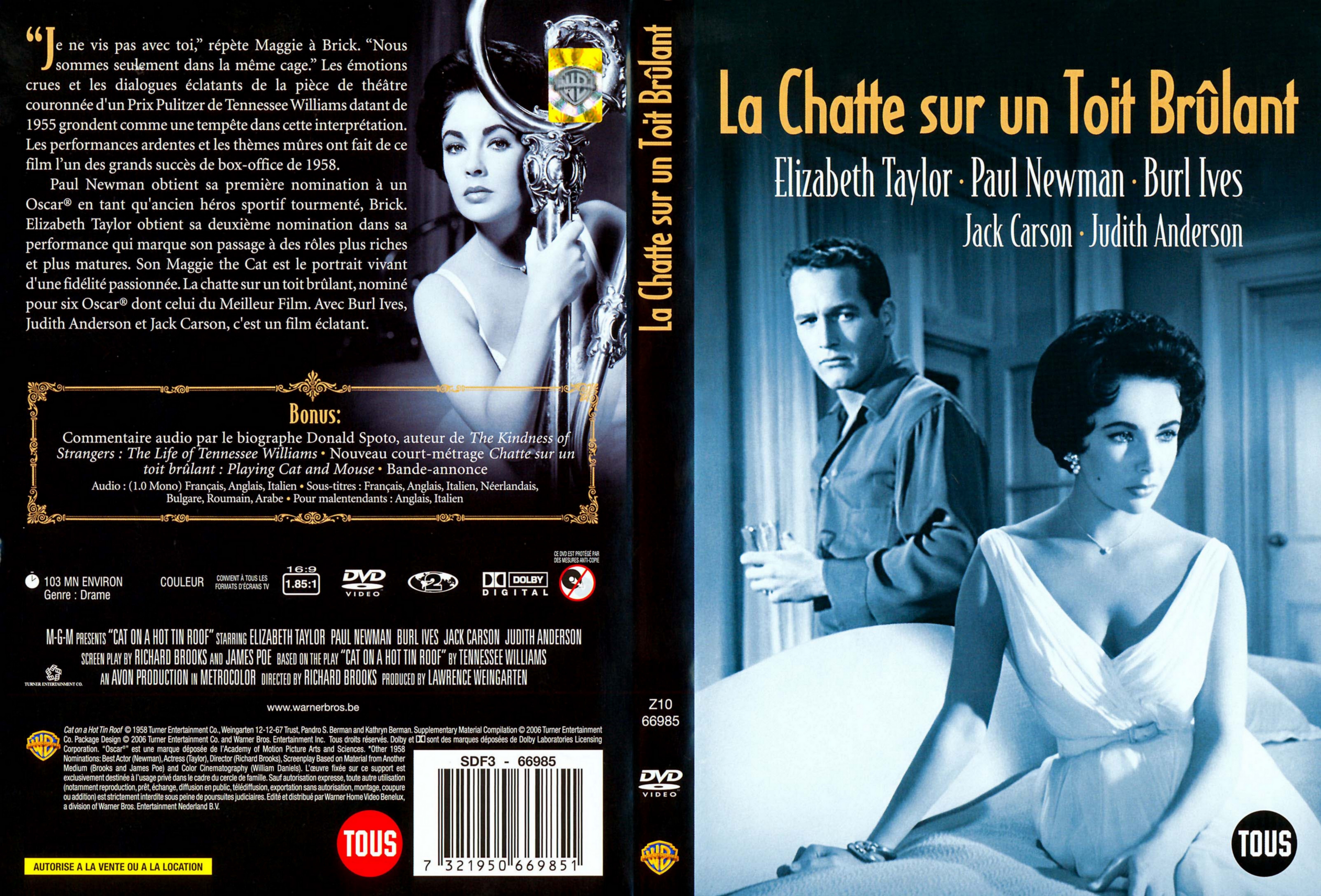 Jaquette DVD La chatte sur un toit brulant v2