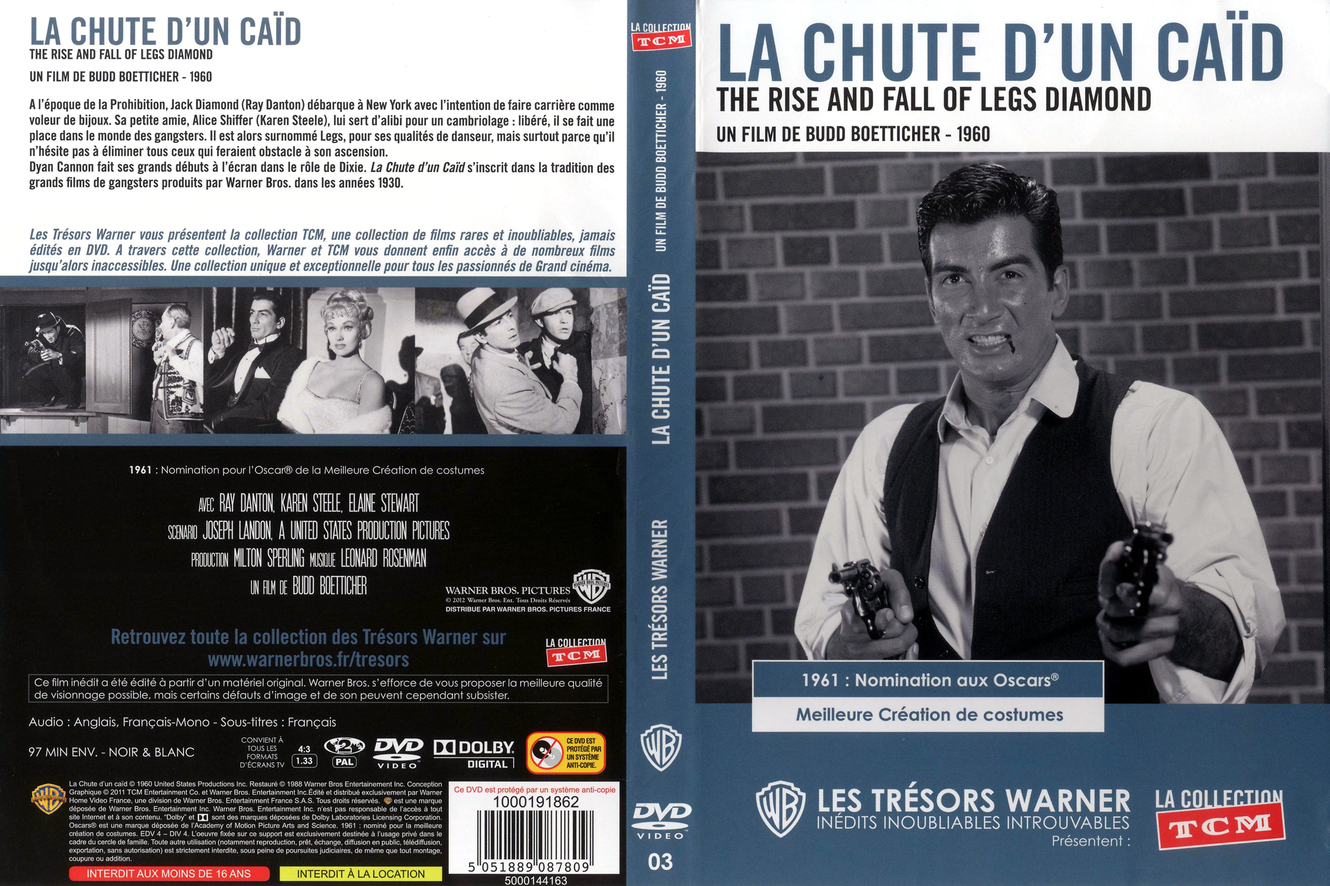 Jaquette DVD La chute d