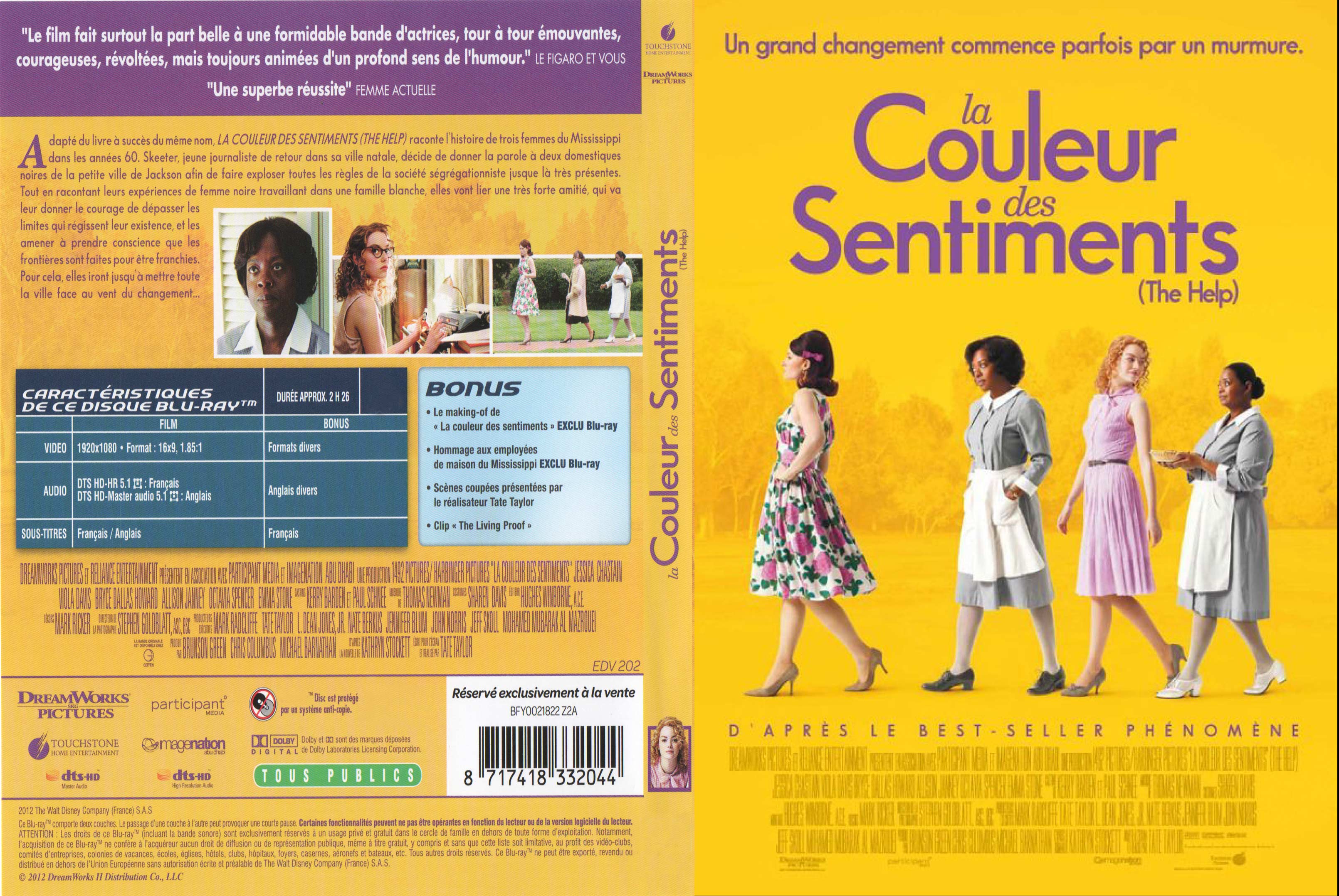 Jaquette DVD La couleur des sentiments custom v2