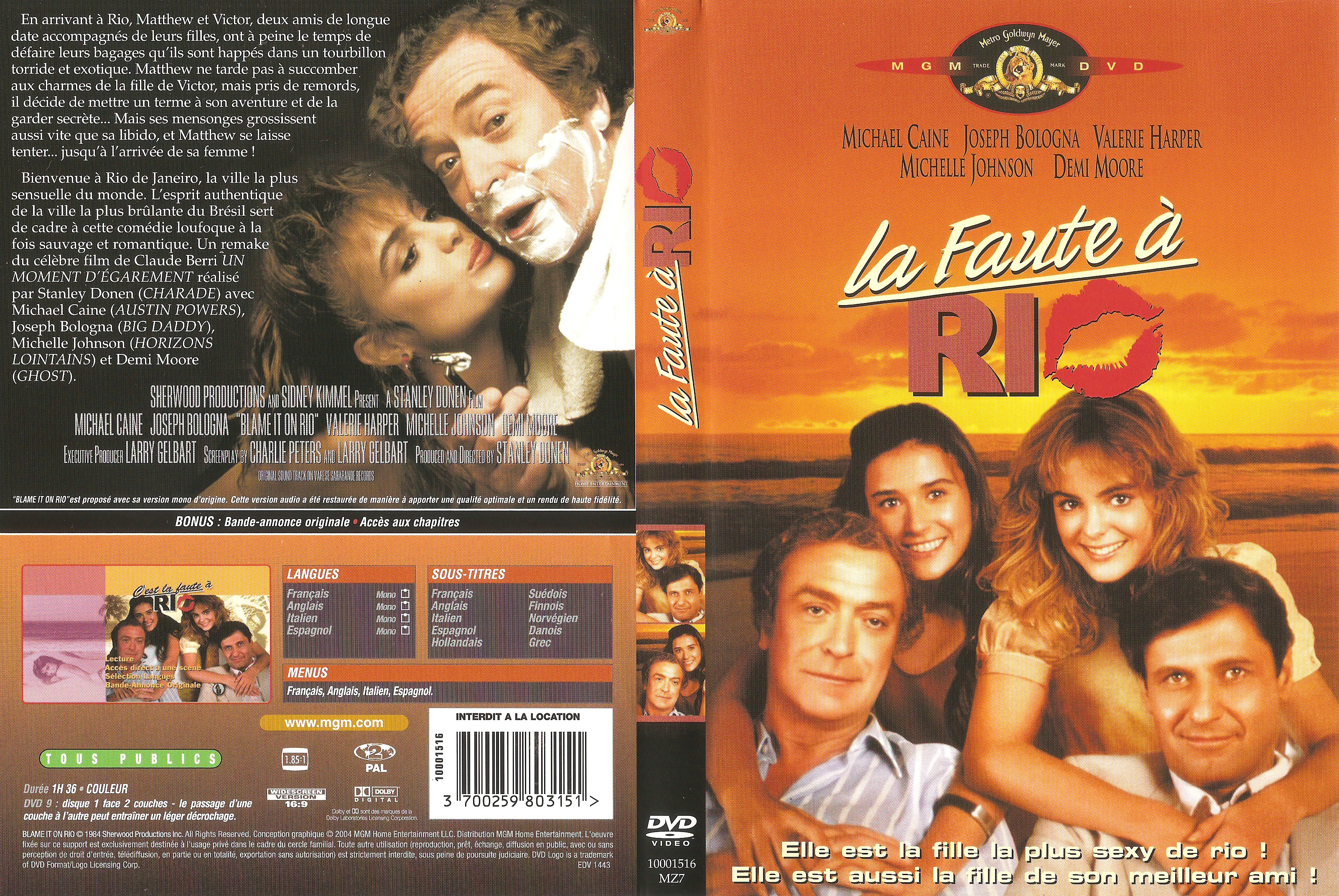 Jaquette DVD La faute  Rio