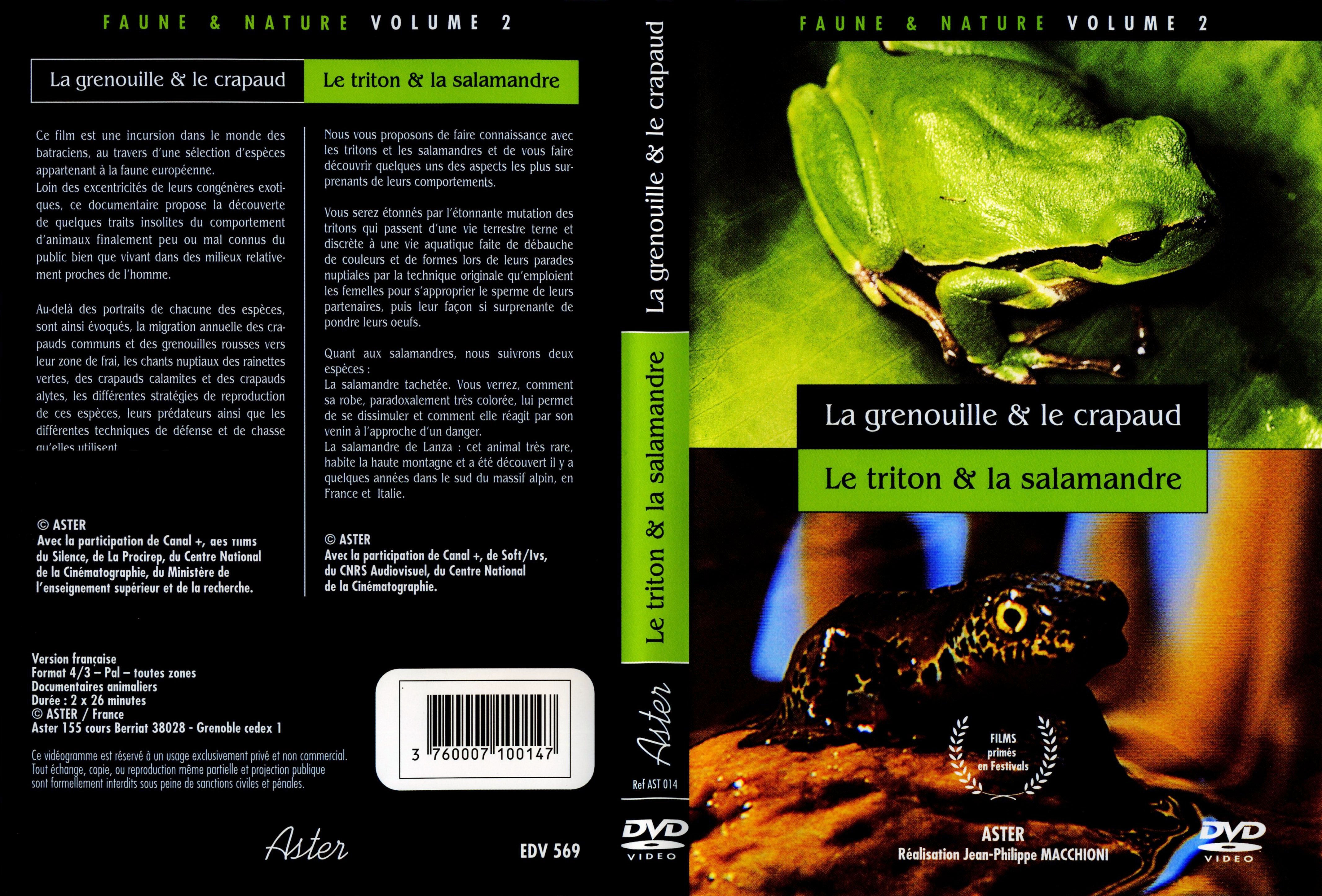 Jaquette DVD La grenouille et le crapaud - Le triton et la salamandre