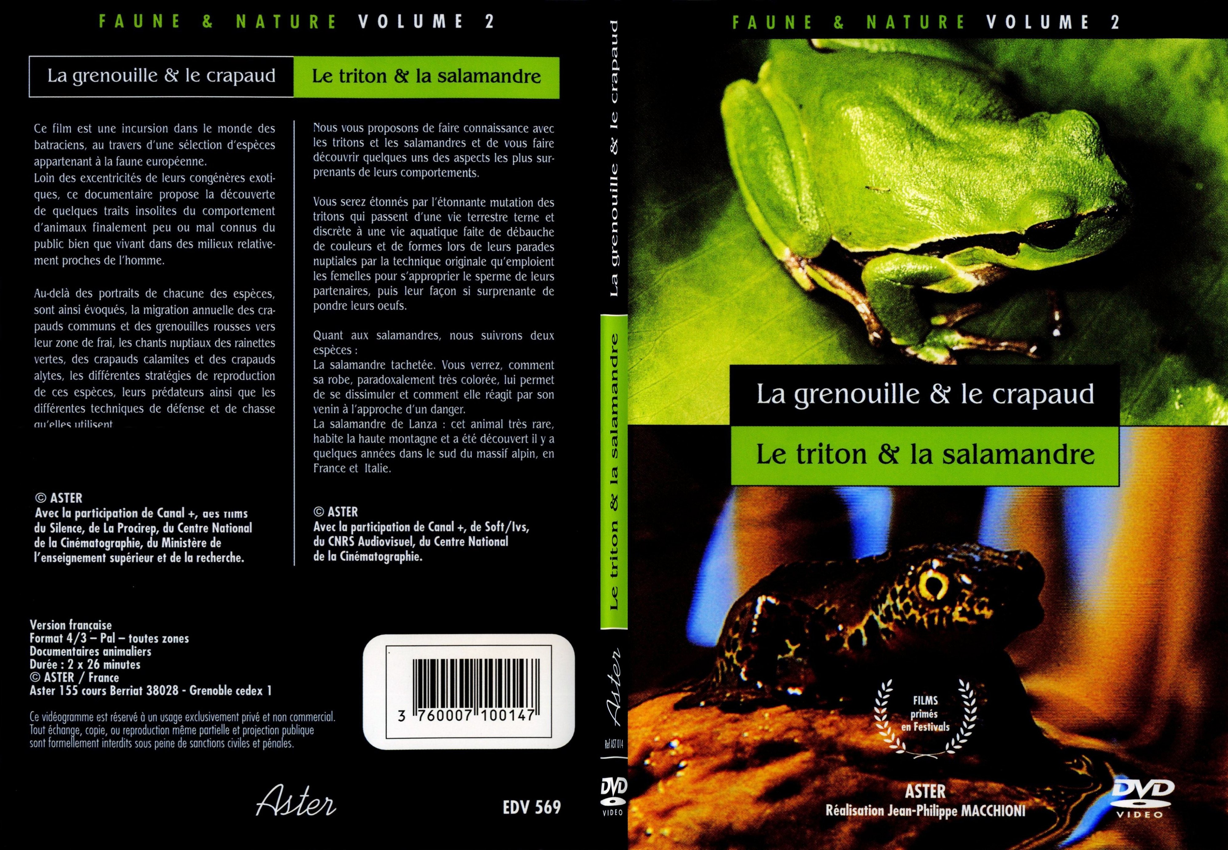 Jaquette DVD La grenouille et le crapaud - Le triton et la salamandre - SLIM