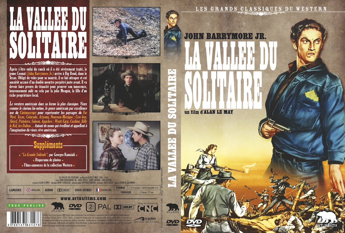Jaquette DVD La valle du solitaire