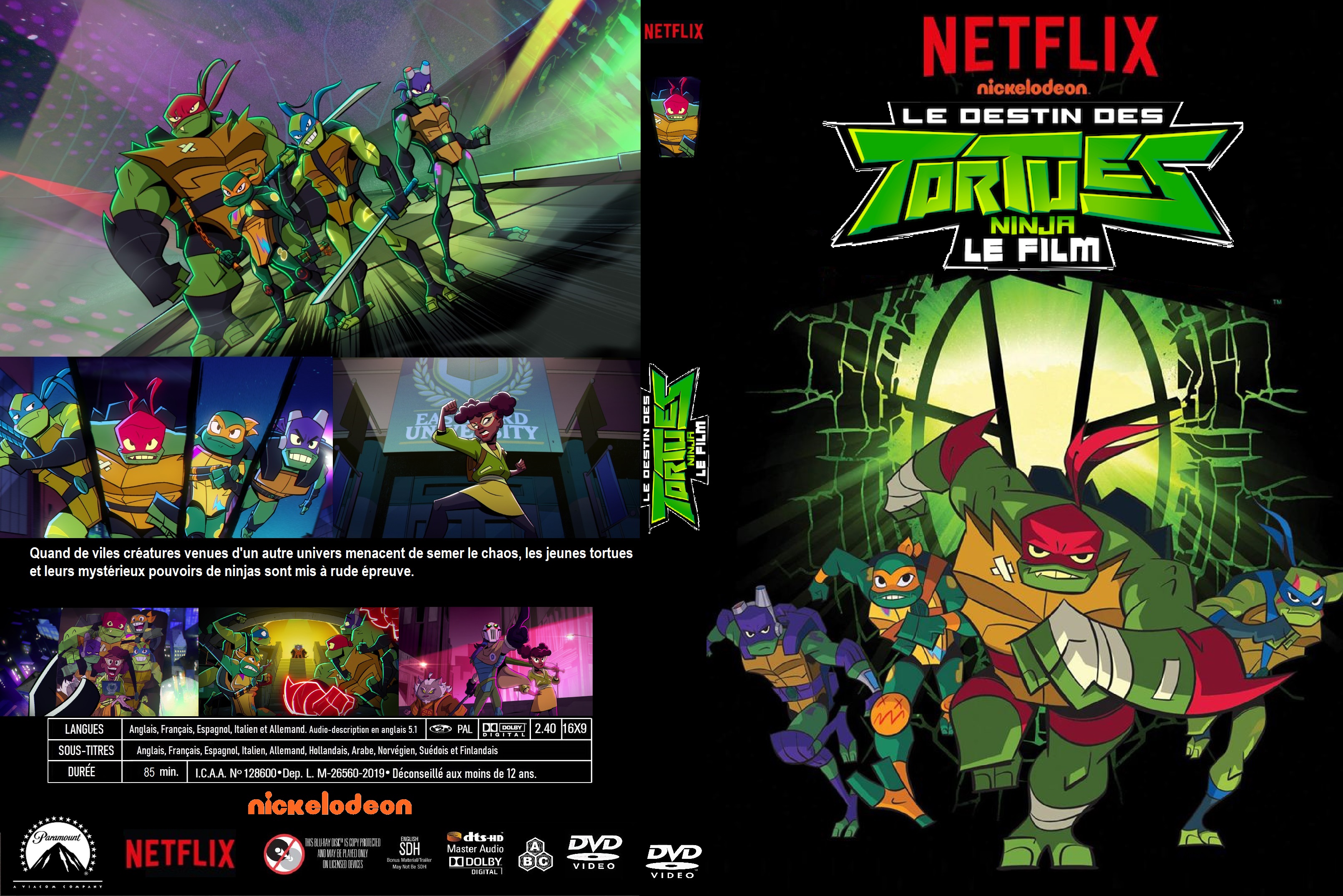 Jaquette DVD Le Destin des Tortues Ninja custom