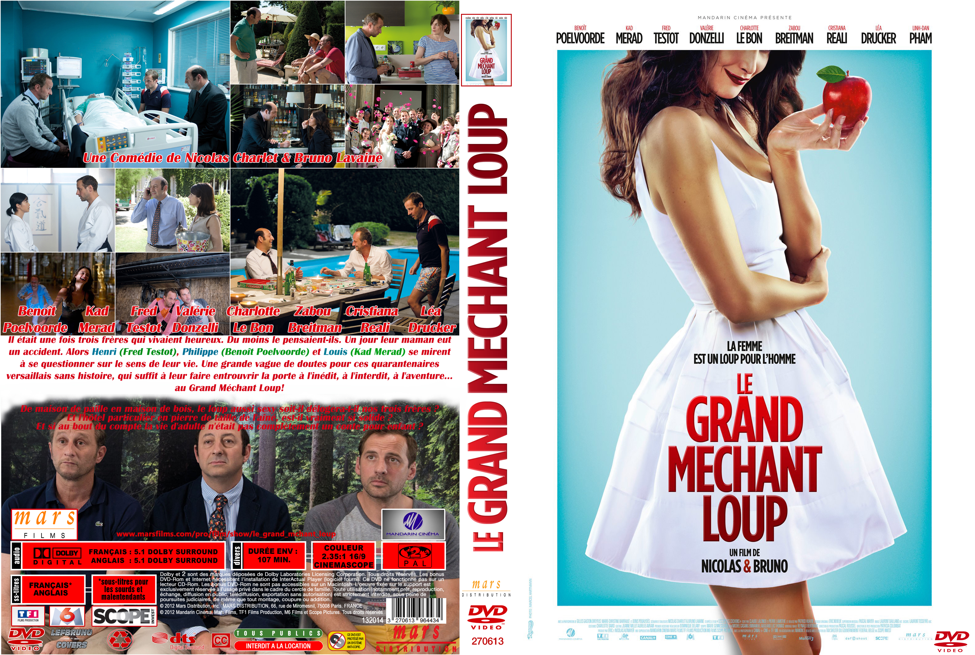 Jaquette DVD Le Grand Mchant Loup custom