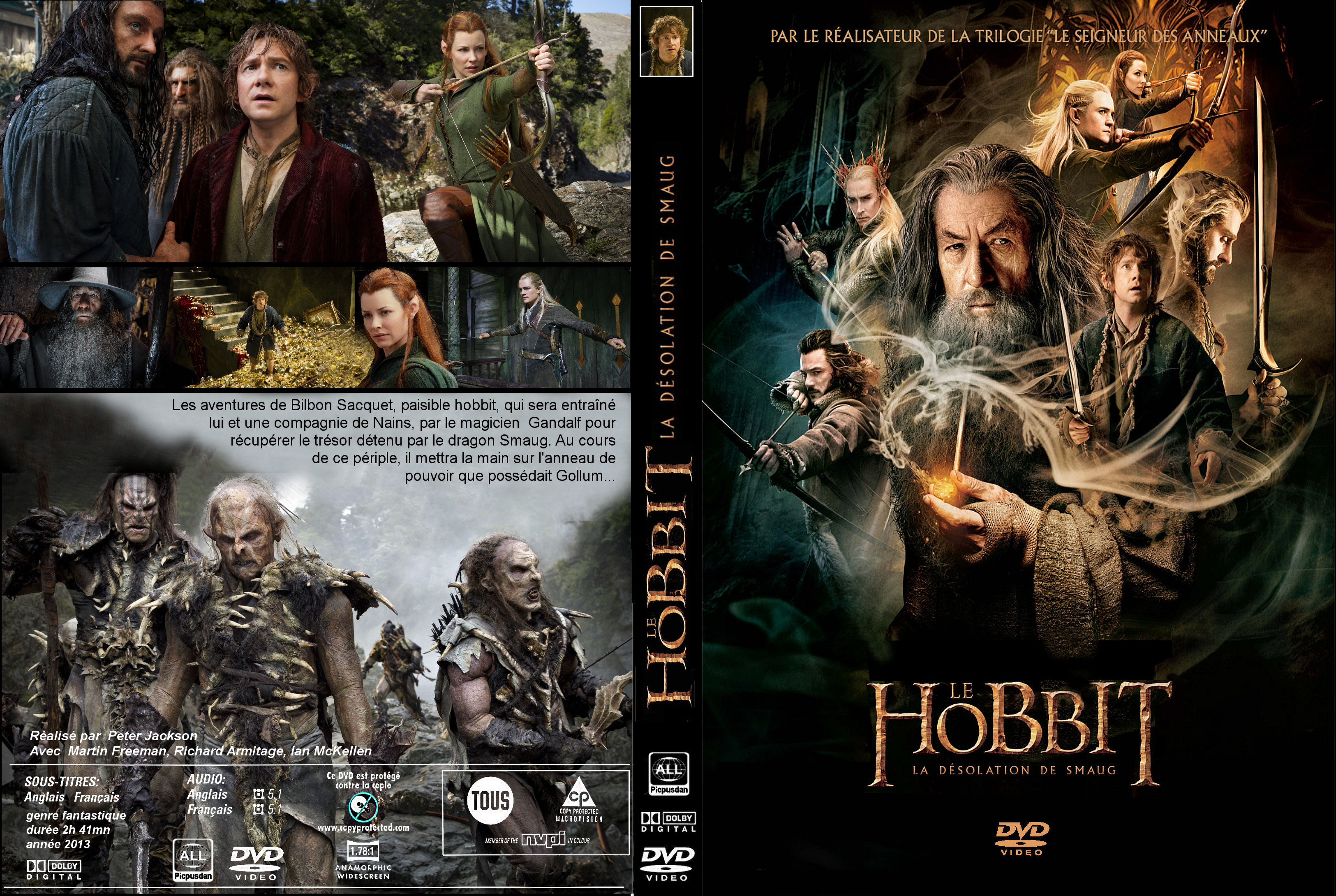 Jaquette DVD Le Hobbit la Dsolation de Smaug custom