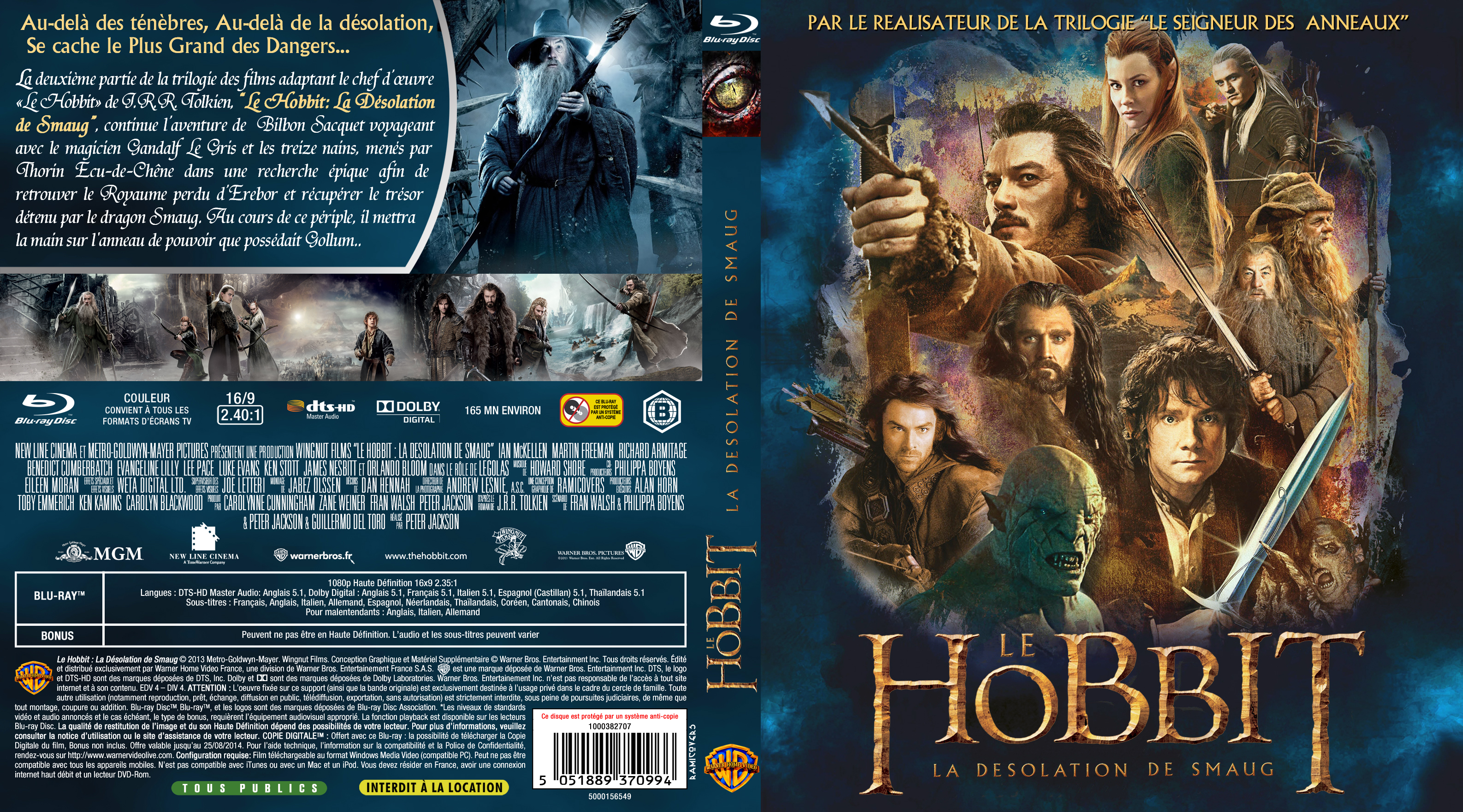 Jaquette DVD Le Hobbit la Dsolation de Smaug custom (BLU-RAY)