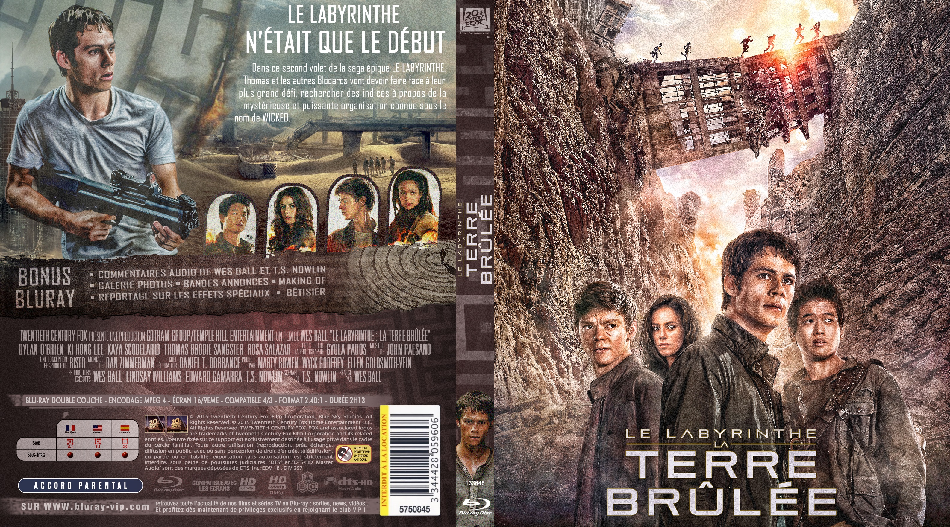 Jaquette DVD Le Labyrinthe : La Terre brule custom (BLU-RAY)