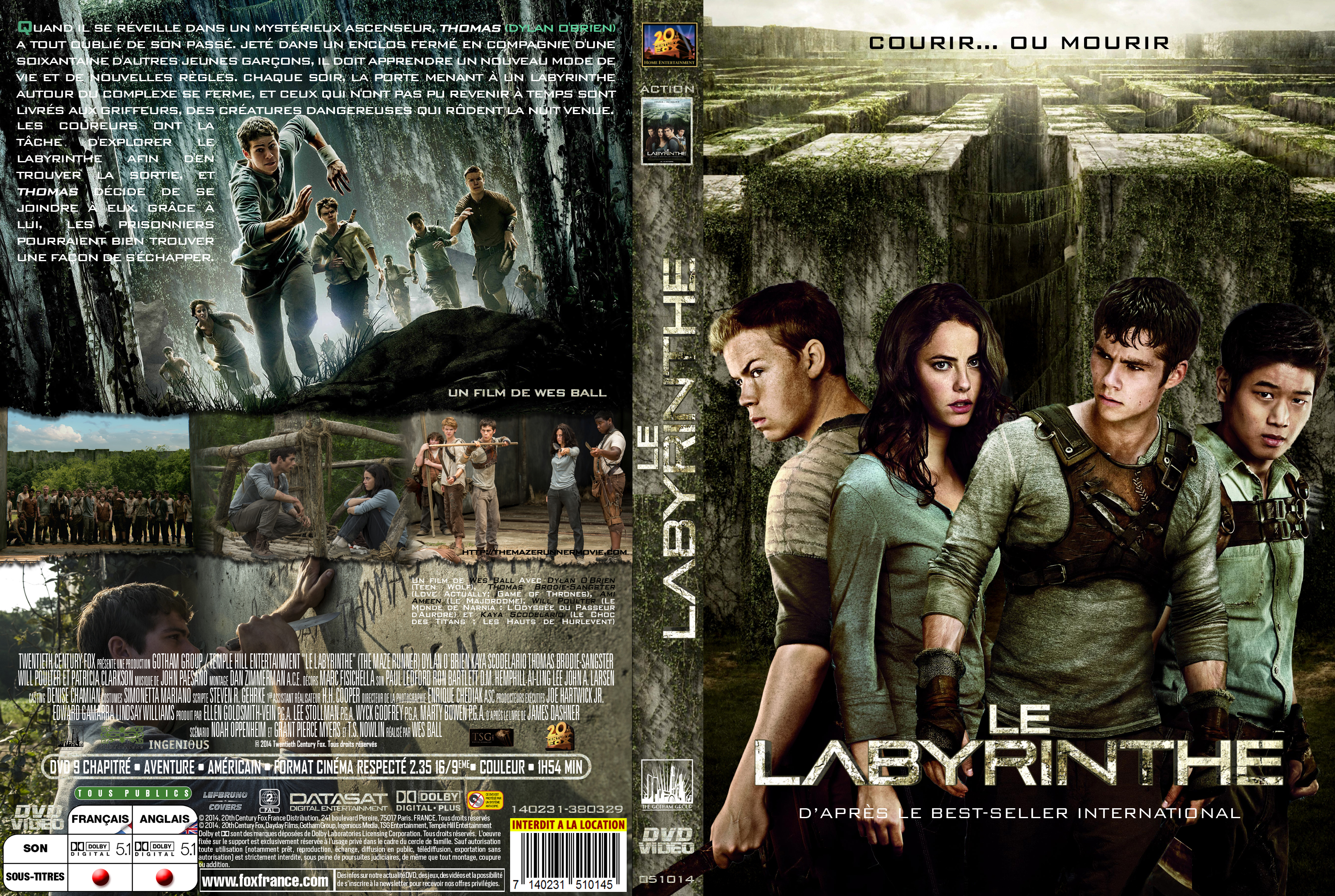 Jaquette DVD Le Labyrinthe custom