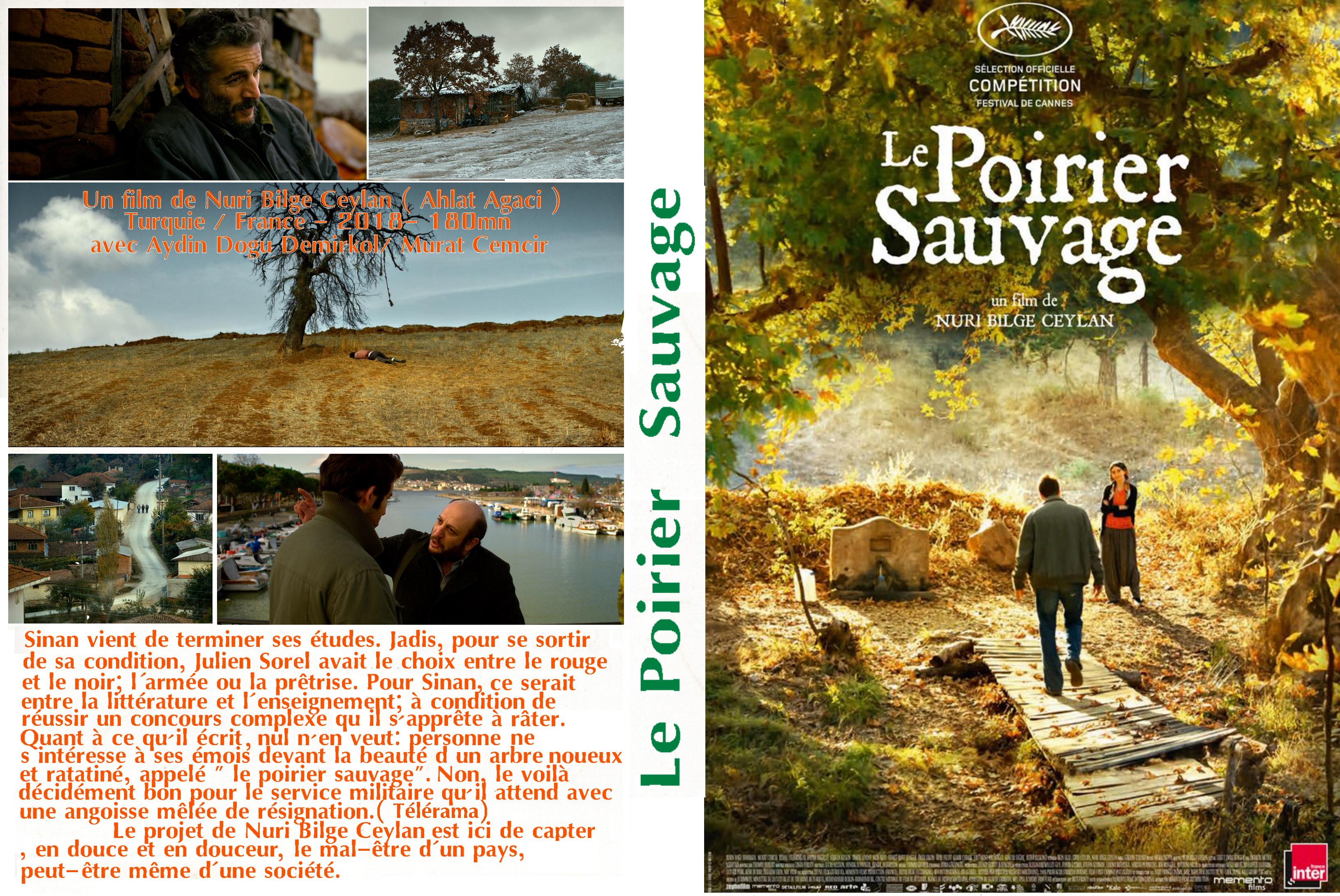 Jaquette DVD Le Poirier sauvage custom