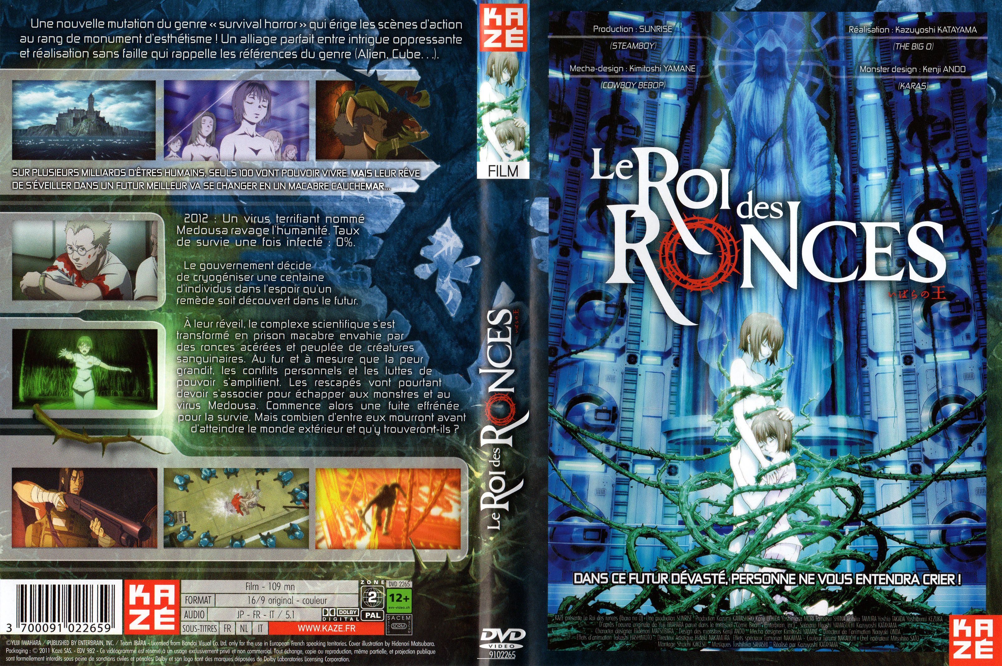 Jaquette DVD Le Roi des Ronces