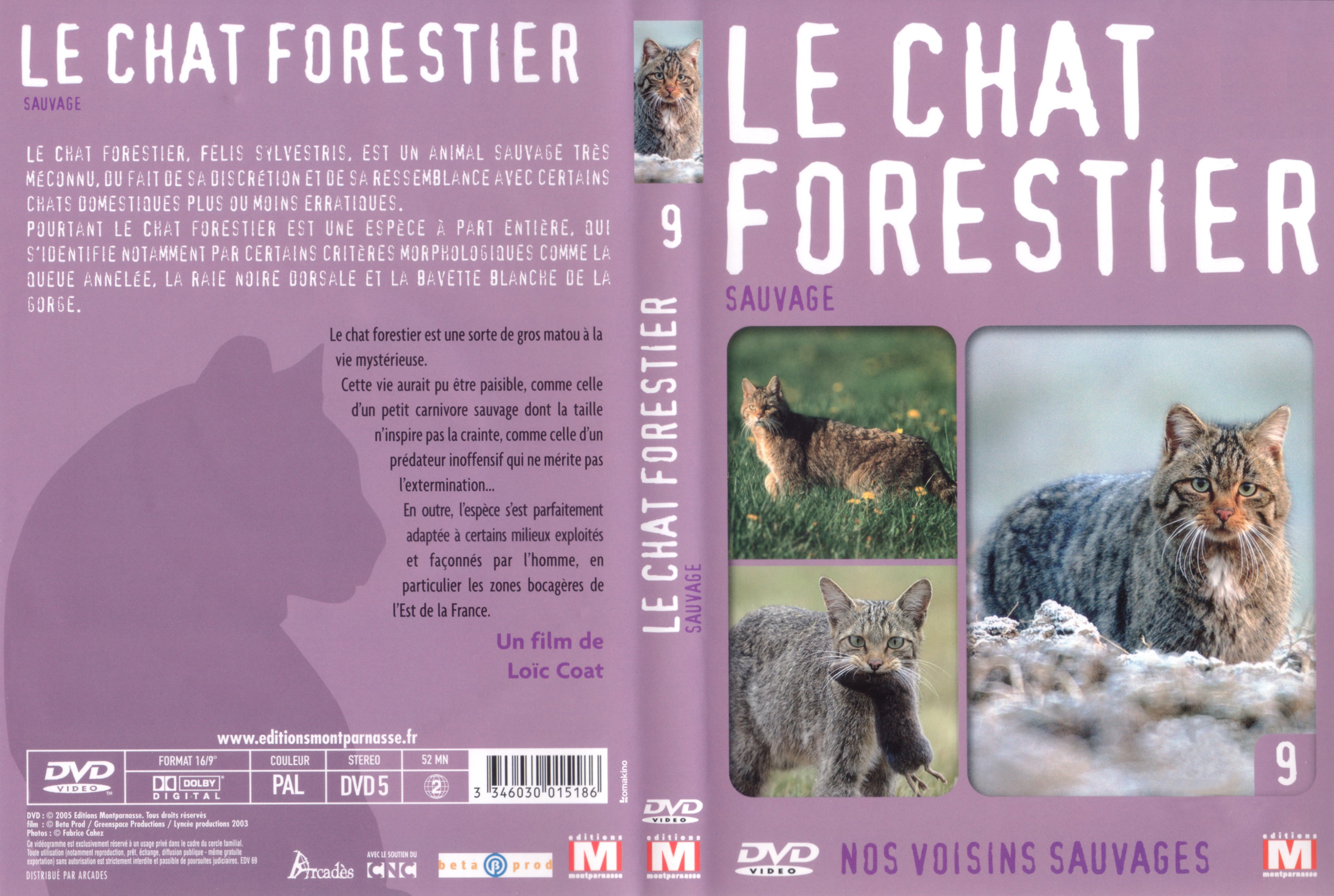 Jaquette DVD Le chat forestier