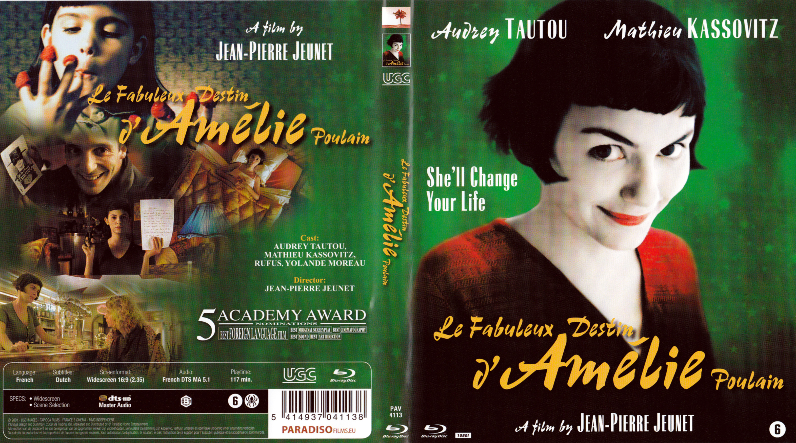 Jaquette DVD Le fabuleux destin d