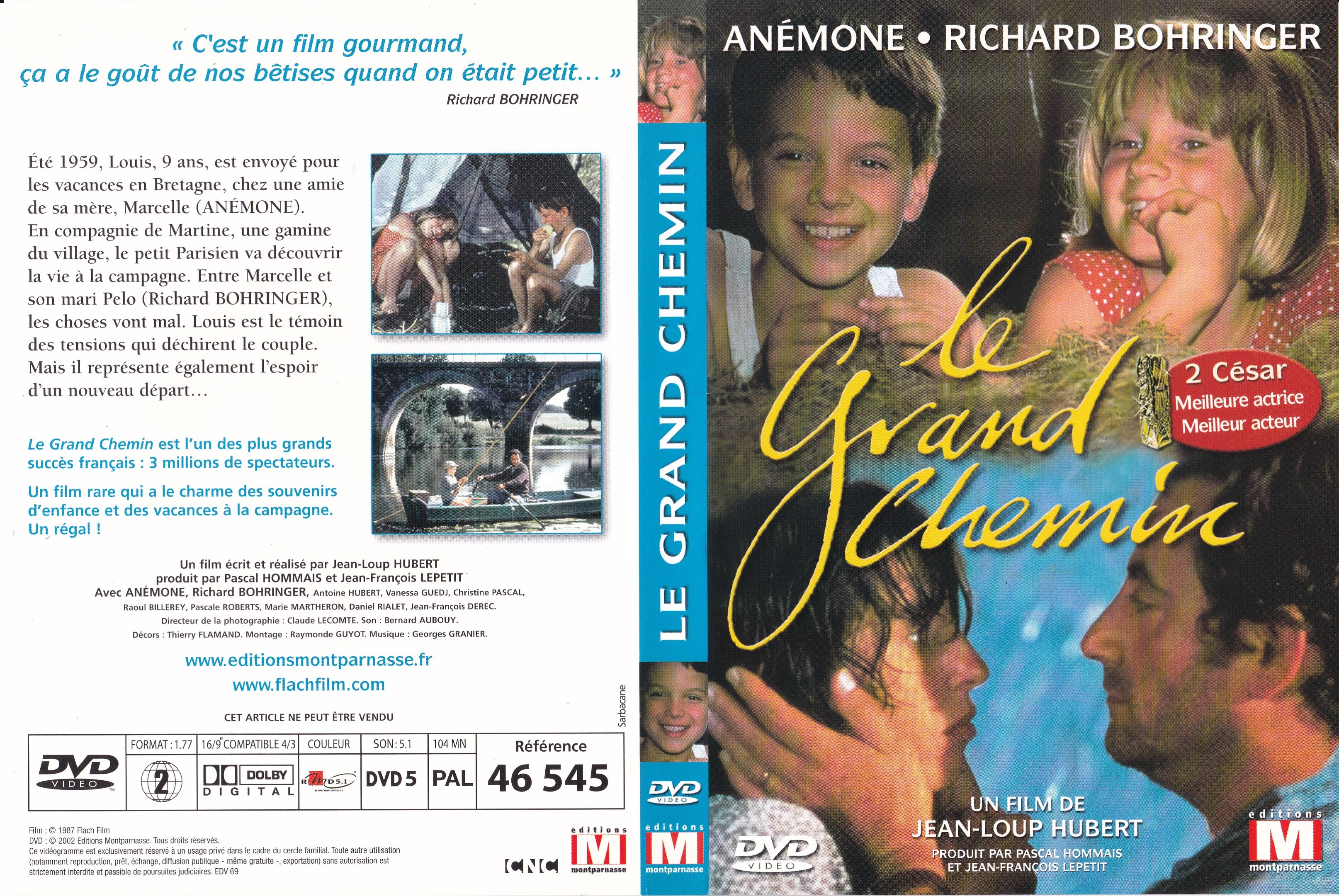 Jaquette DVD Le grand chemin v2