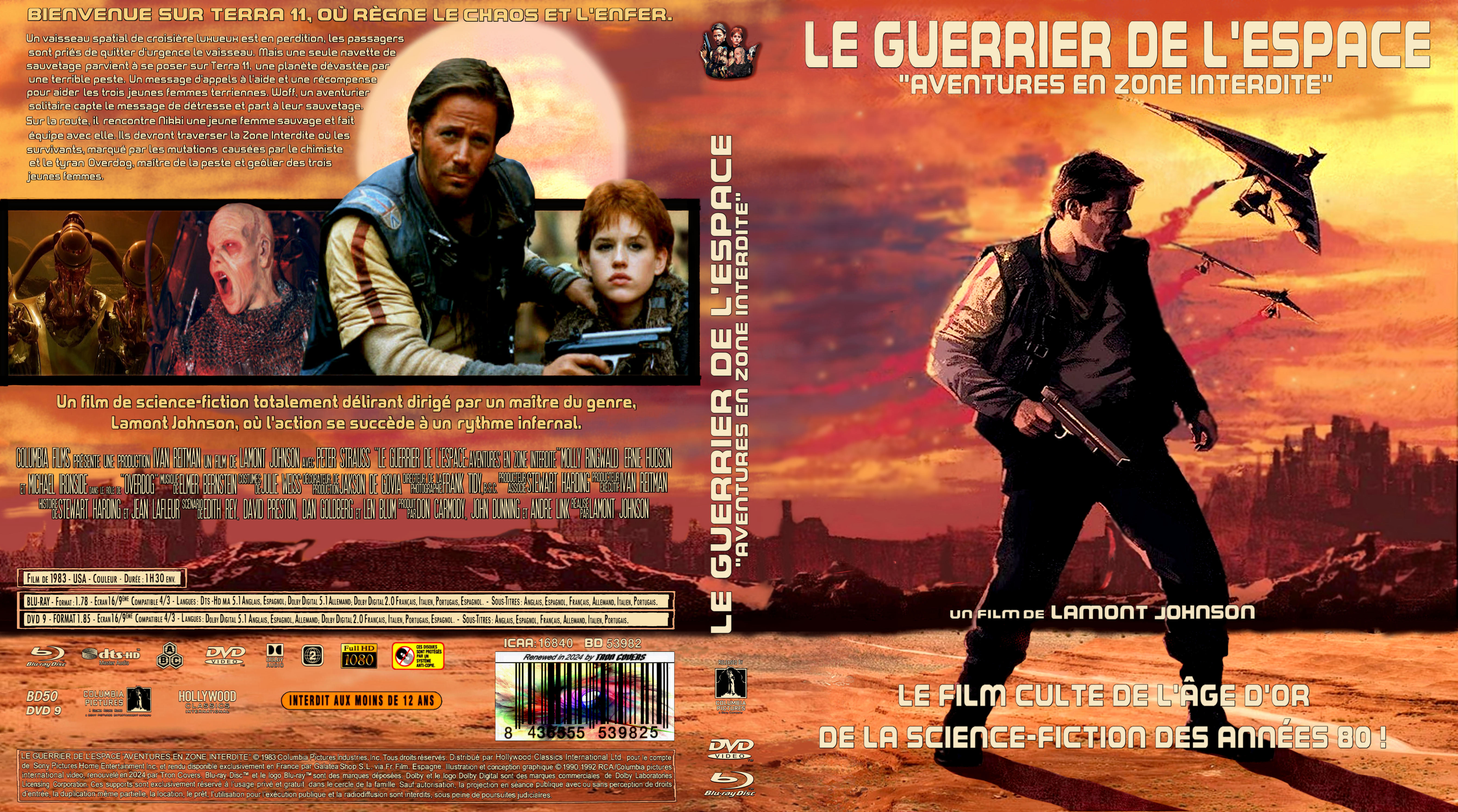 Jaquette DVD Le guerrier de l