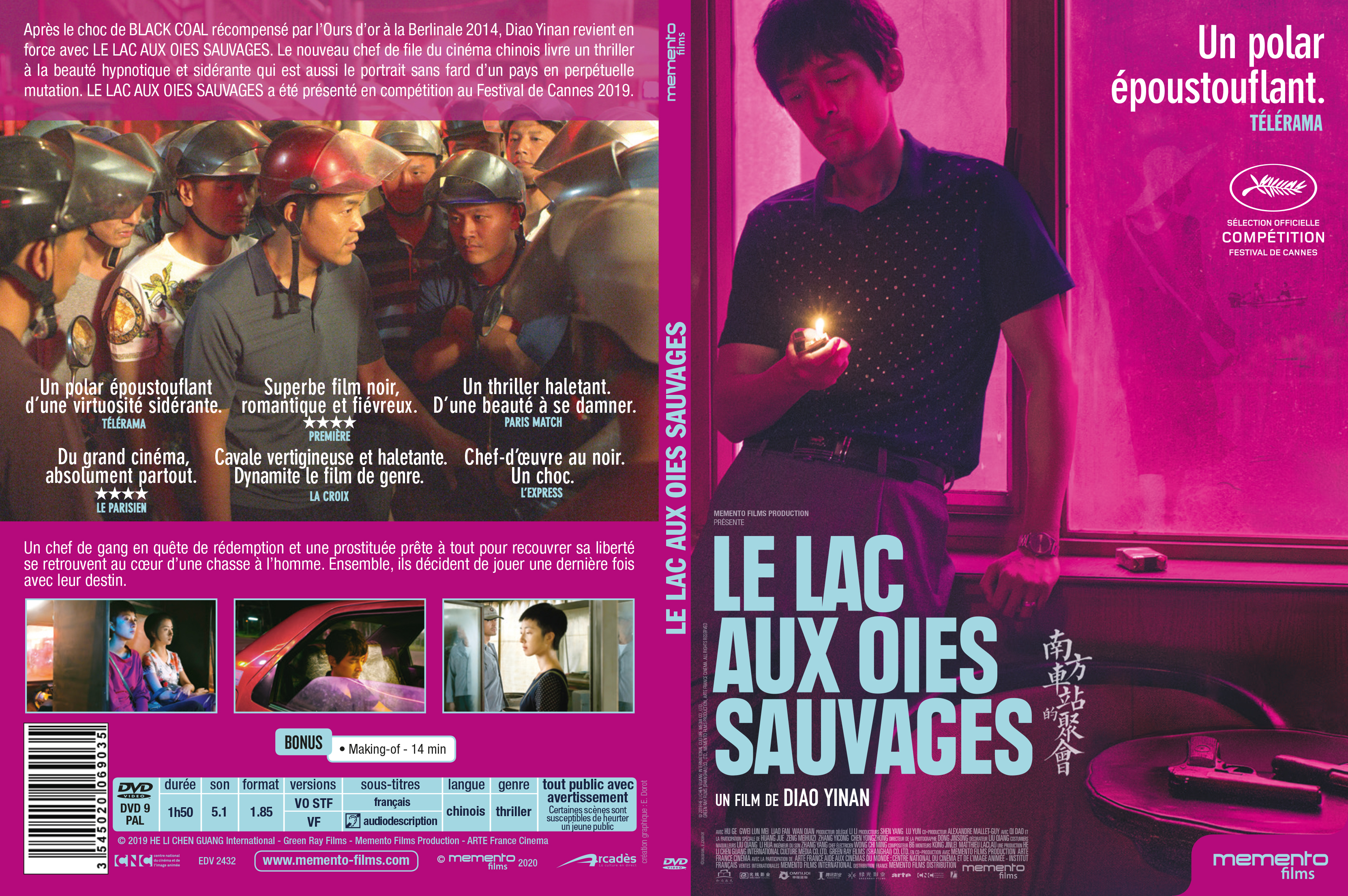 Jaquette DVD Le lac aux oies sauvages