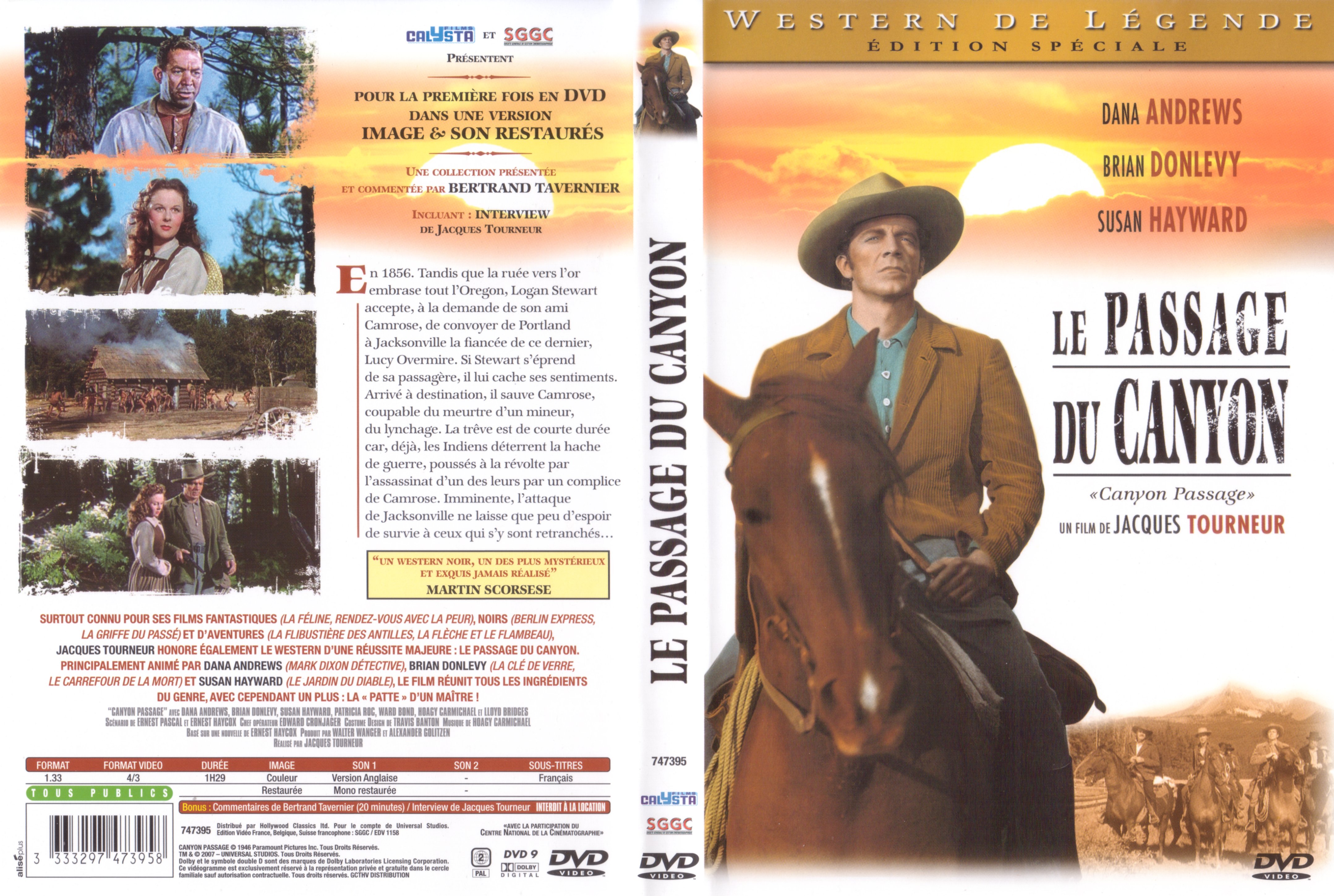 Jaquette DVD Le passage du canyon