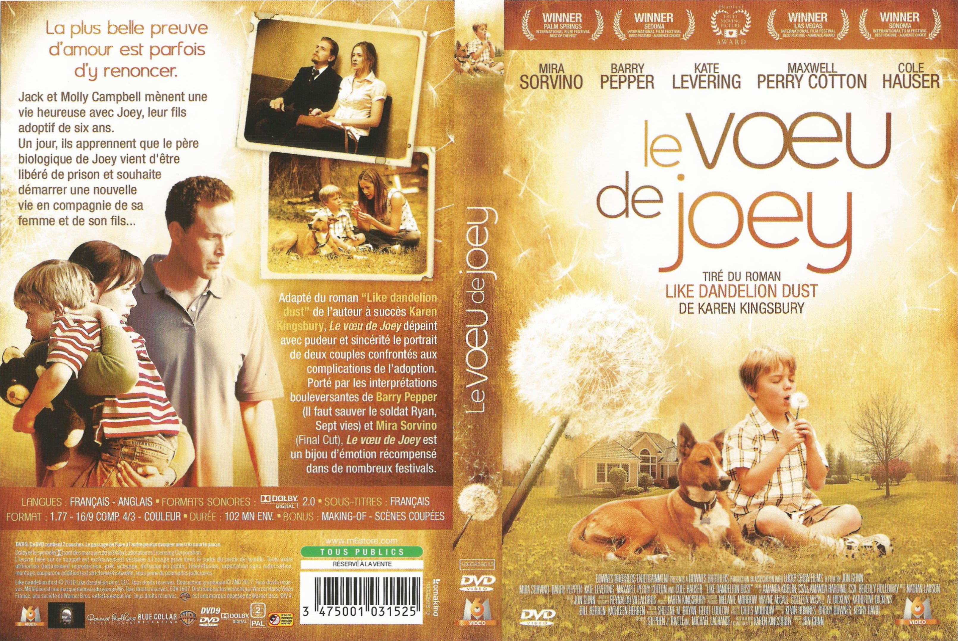 Jaquette DVD Le voeu de Joey