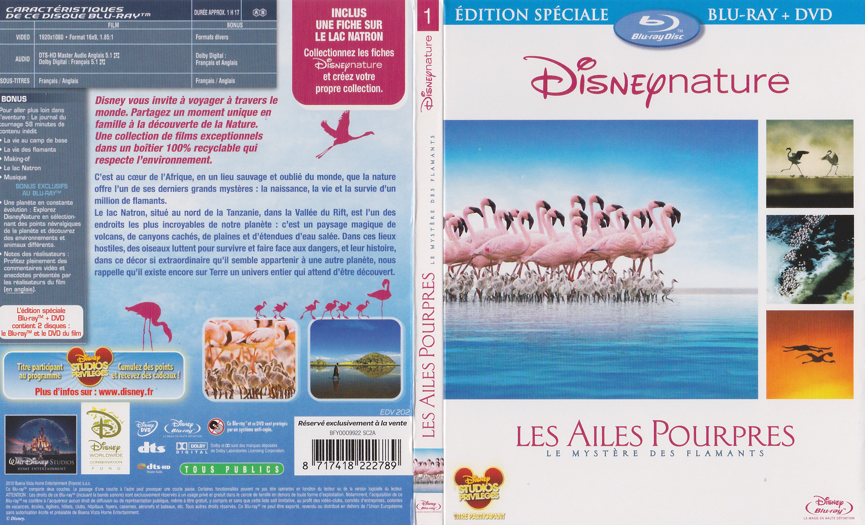 Jaquette DVD Les ailes pourpres (BLU-RAY)