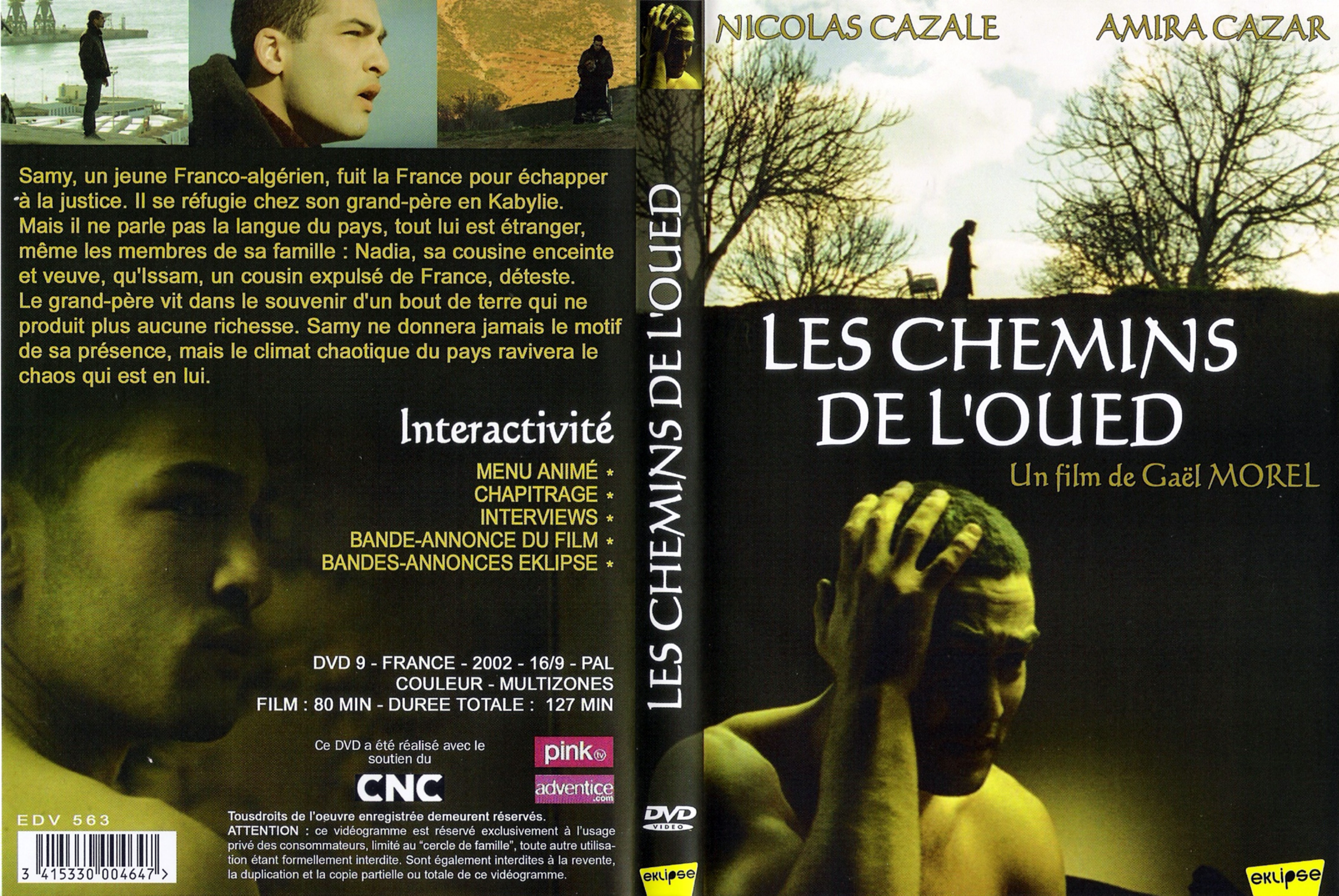 Jaquette DVD Les chemins de l