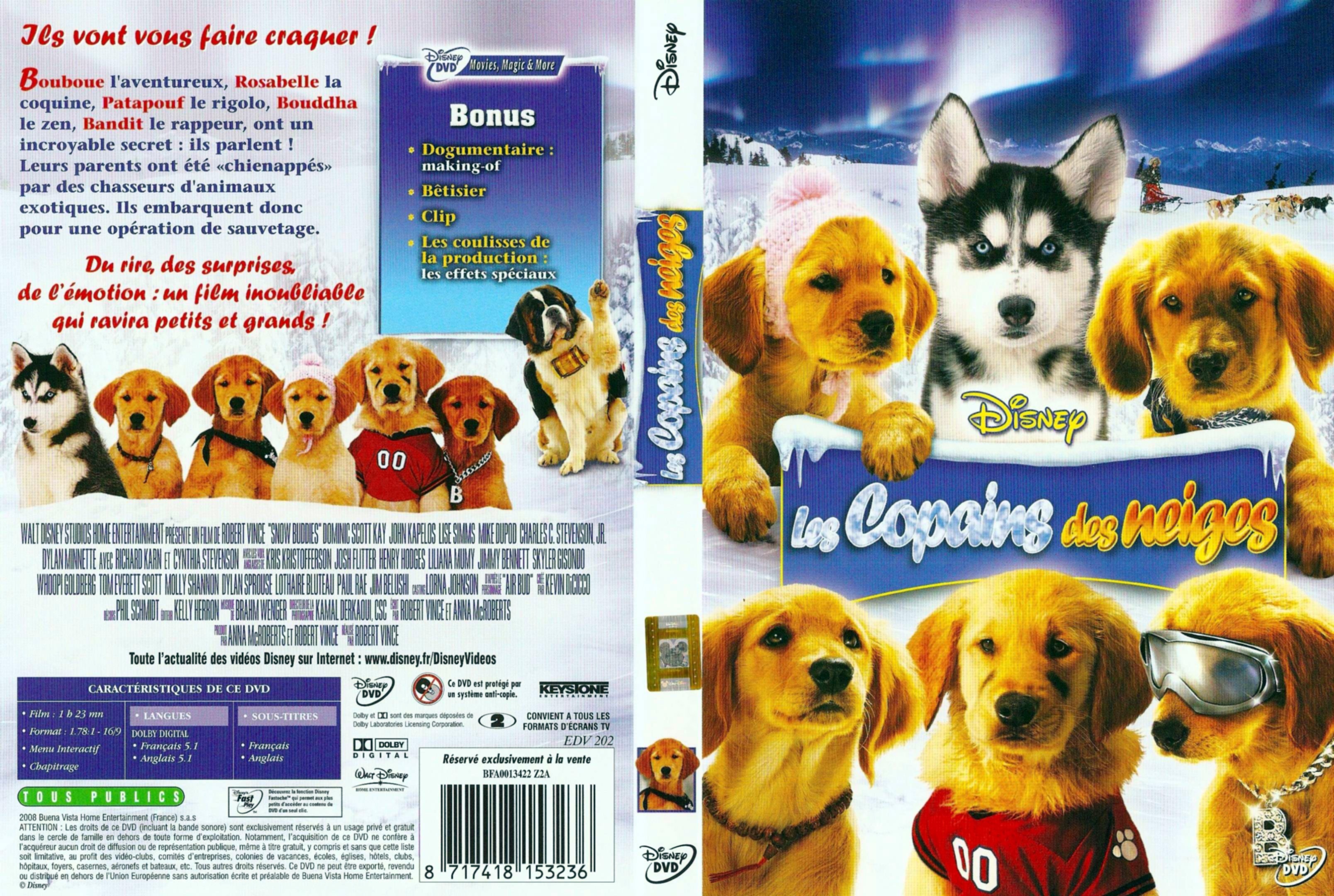 Jaquette DVD Les copains des neiges