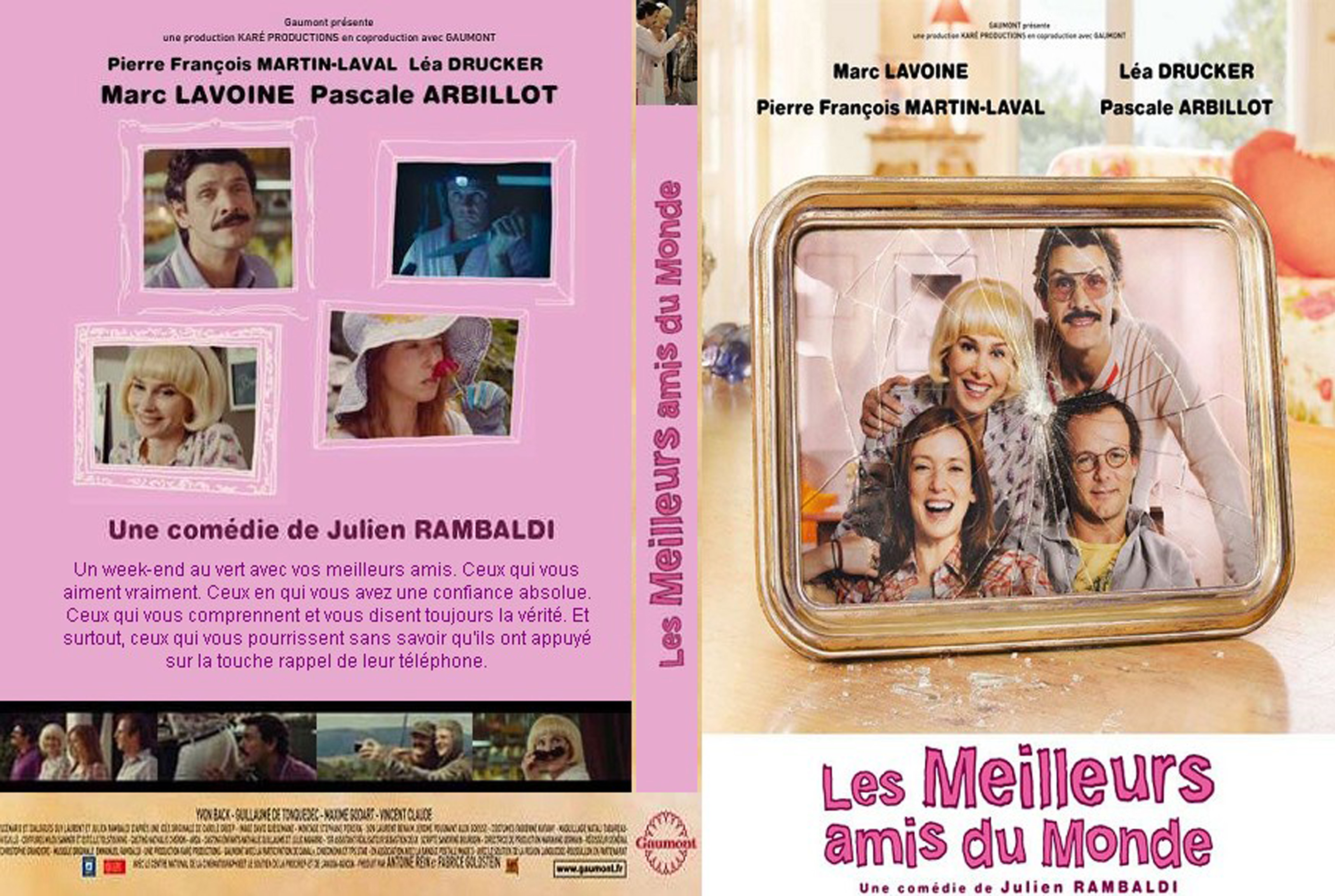 Jaquette DVD Les meilleurs amis du monde custom