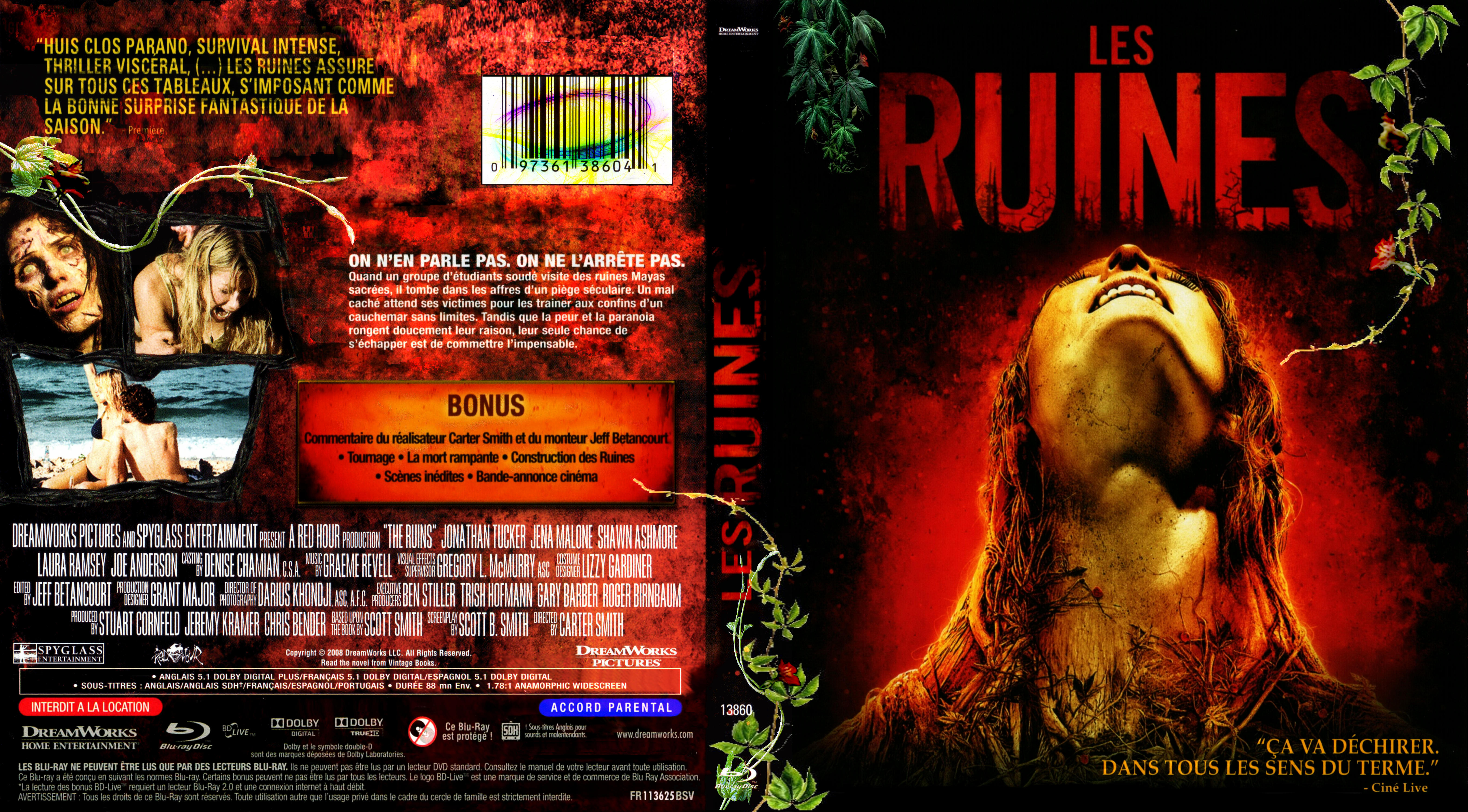 Jaquette DVD Les ruines custom (BLU-RAY)