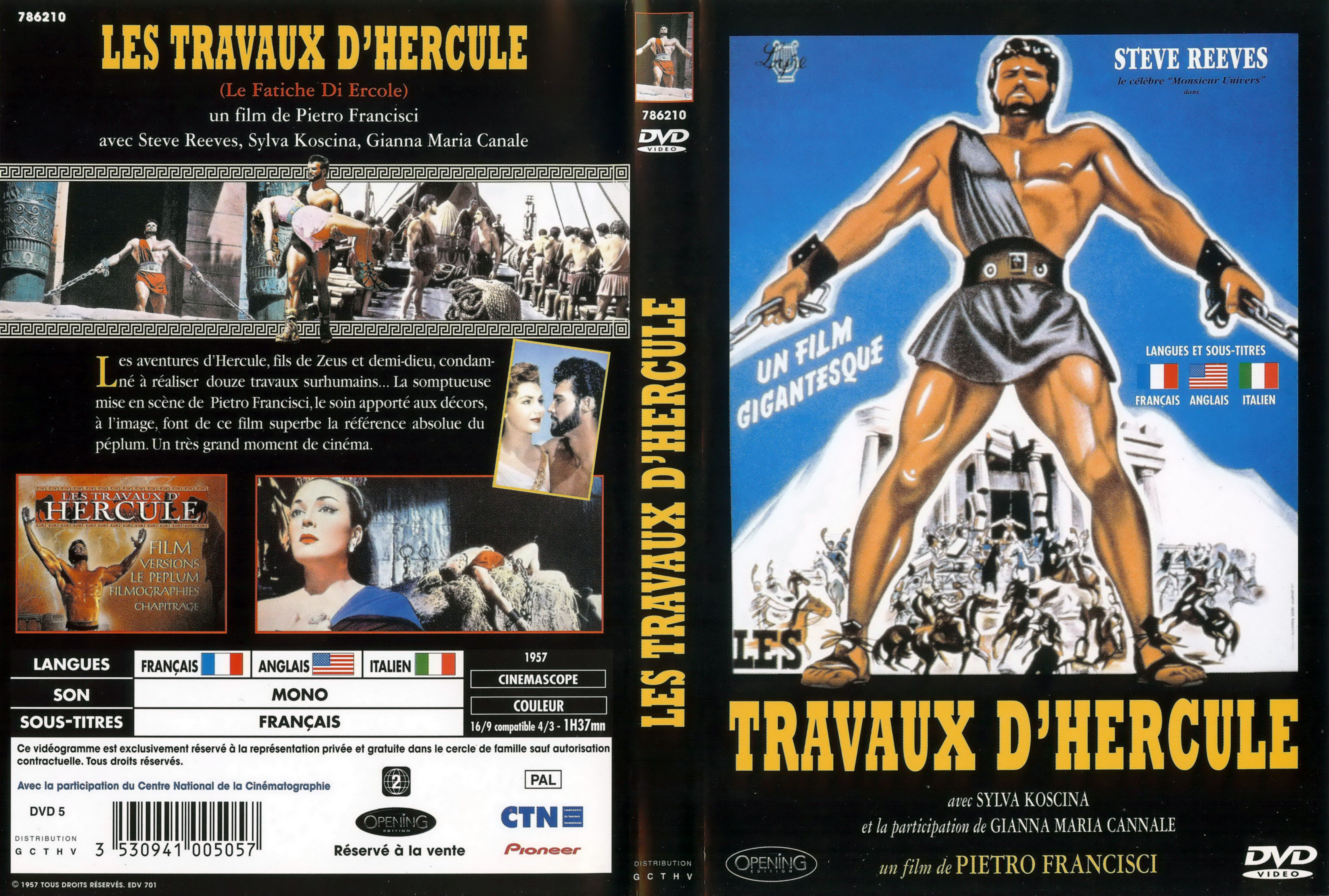 Jaquette DVD Les travaux d