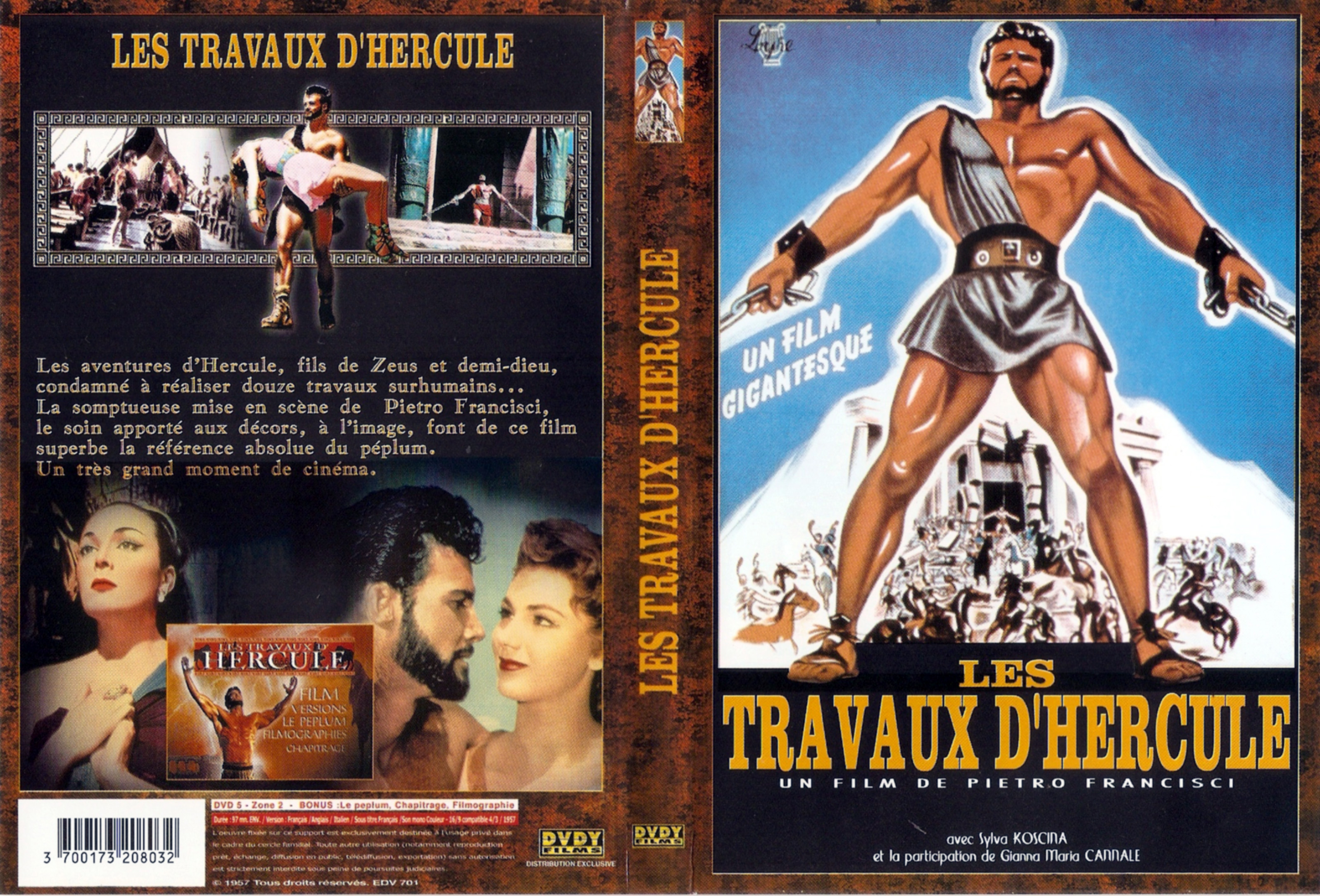 Jaquette DVD Les travaux d