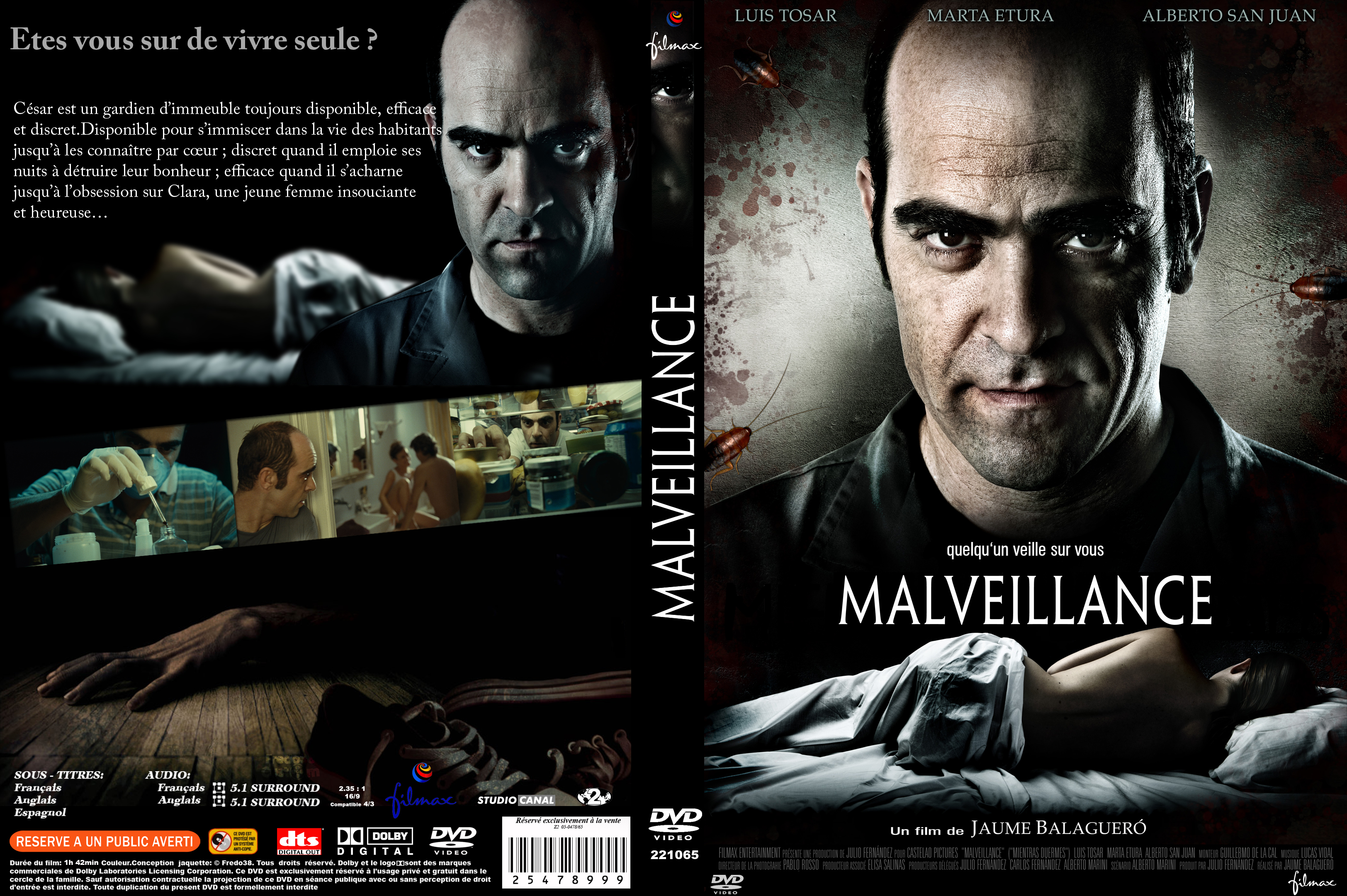 Jaquette DVD Malveillance custom