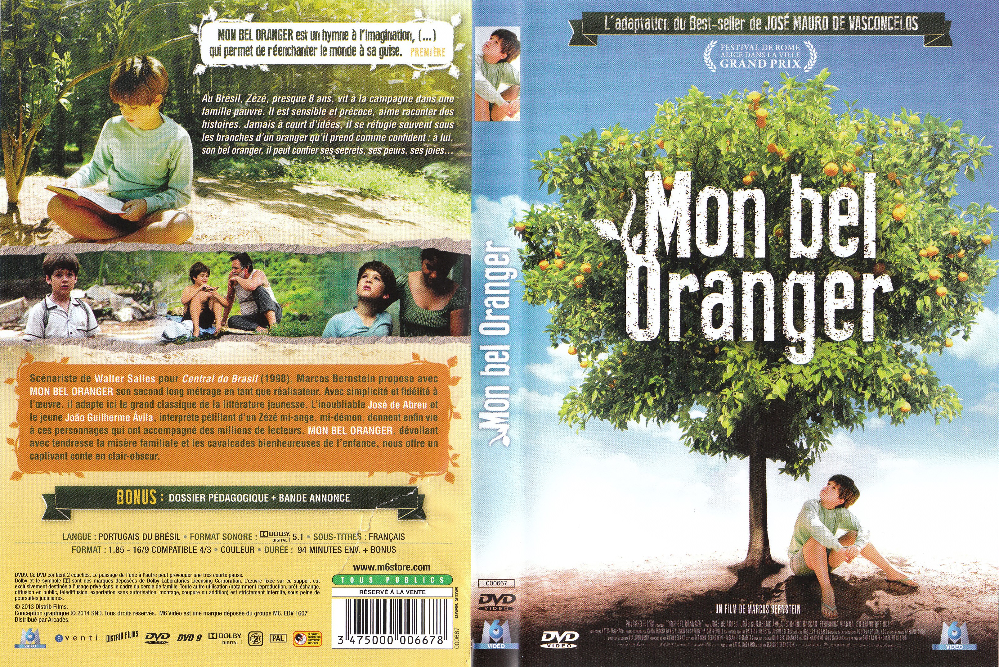 Résumé Mon Bel Oranger Par Chapitre Jaquette DVD de Mon bel oranger - Cinéma Passion