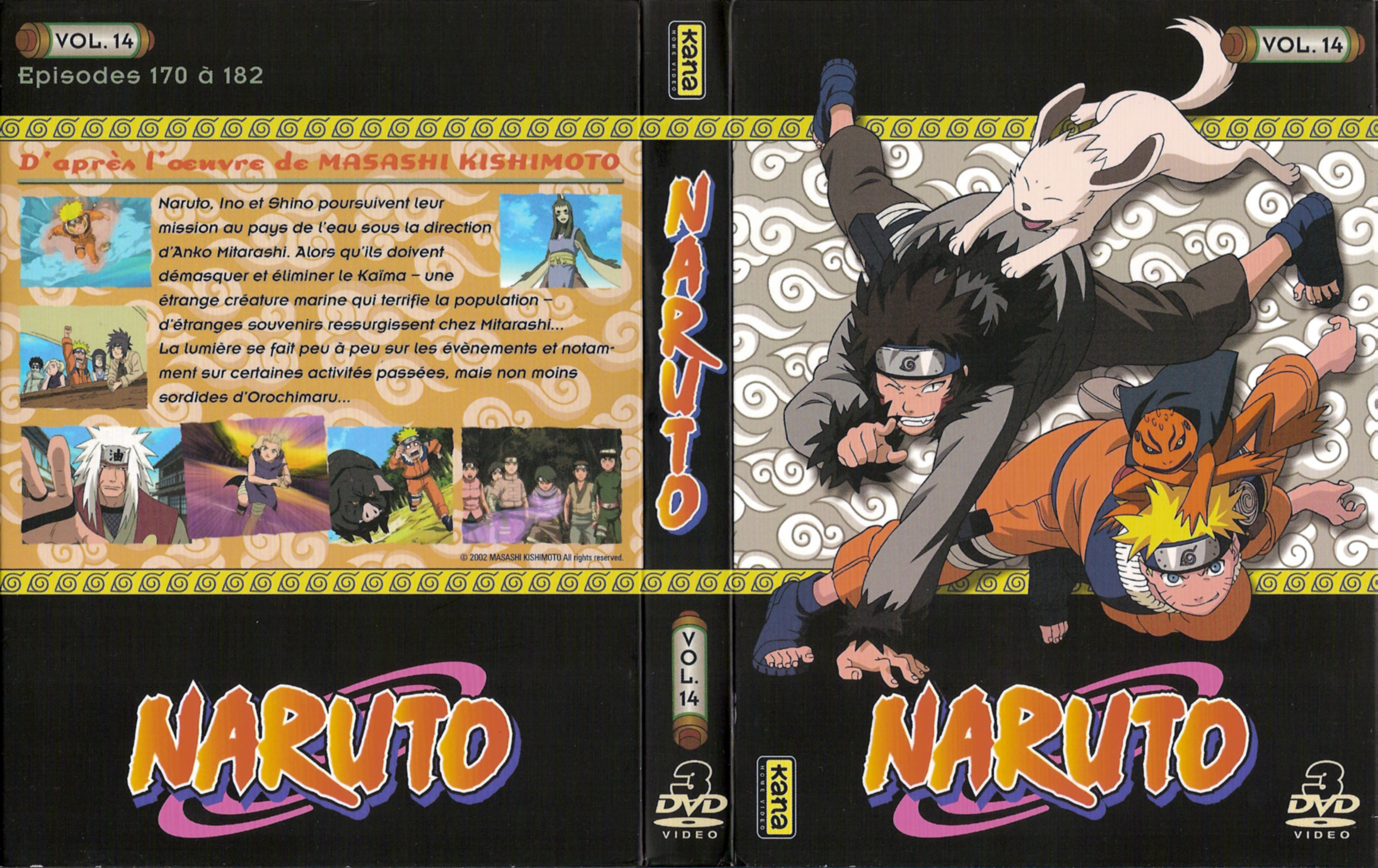 Jaquette DVD Naruto vol 14