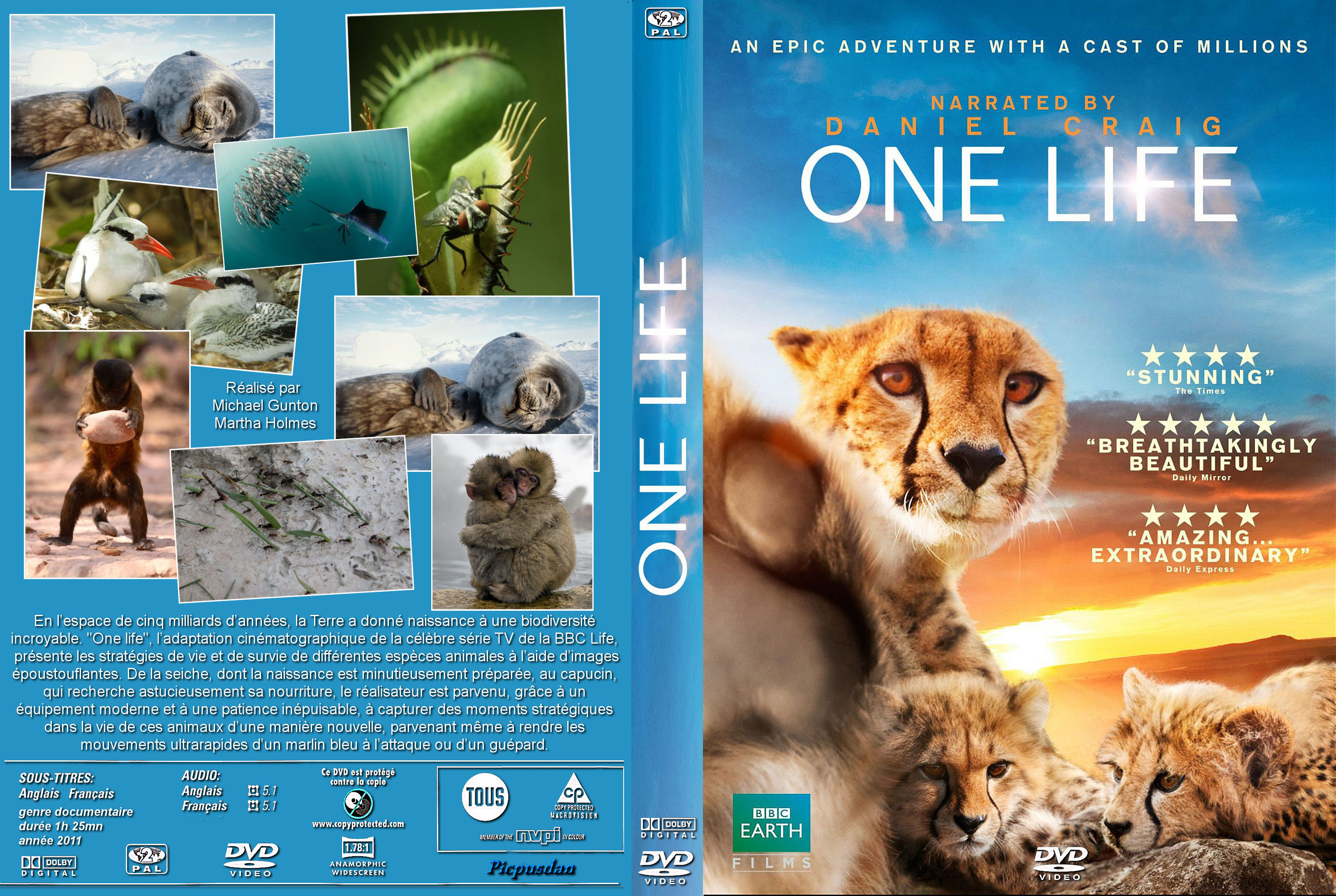 Jaquette DVD One Life custom