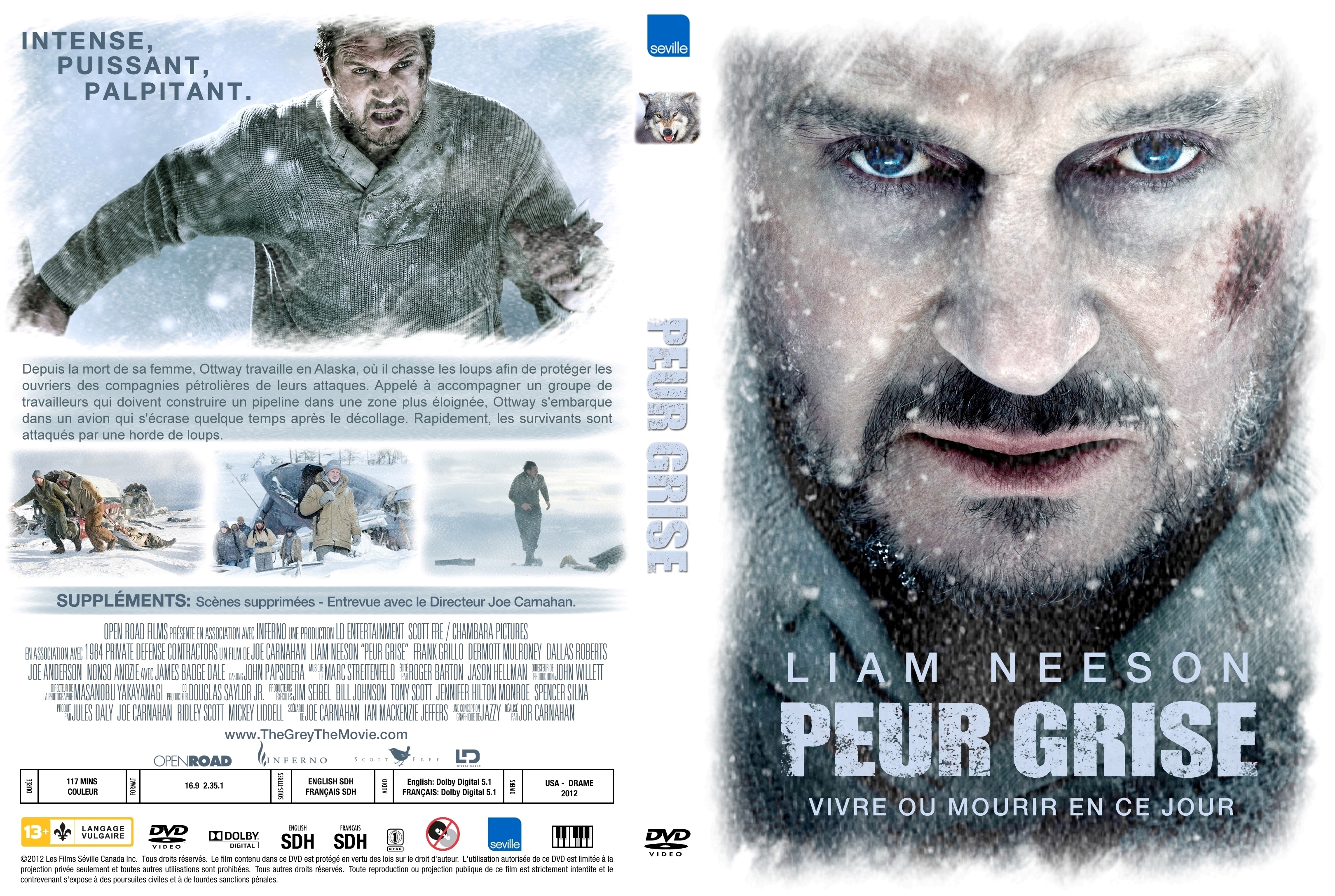 Jaquette DVD Peur grise custom