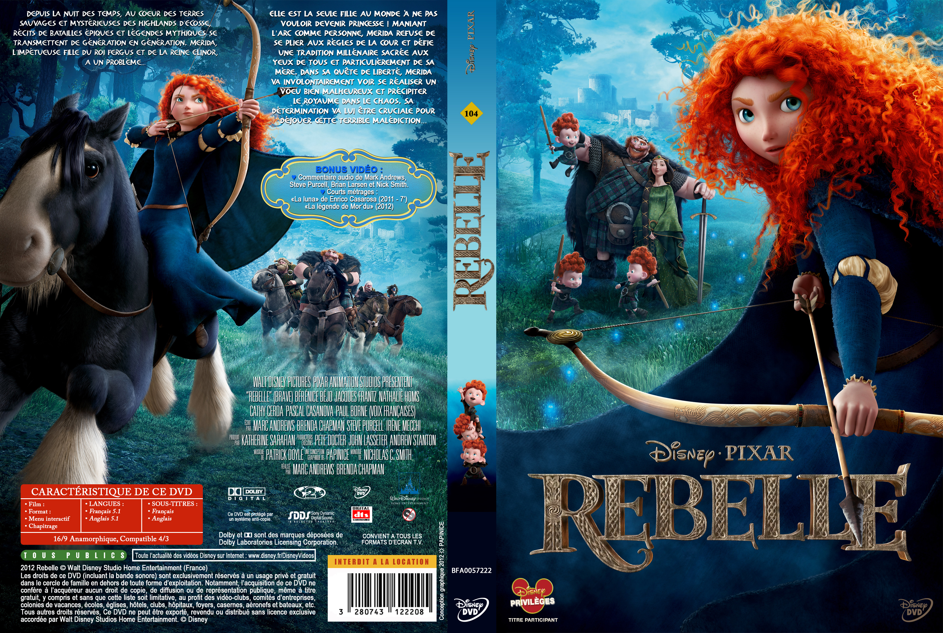 Jaquette DVD Rebelle custom