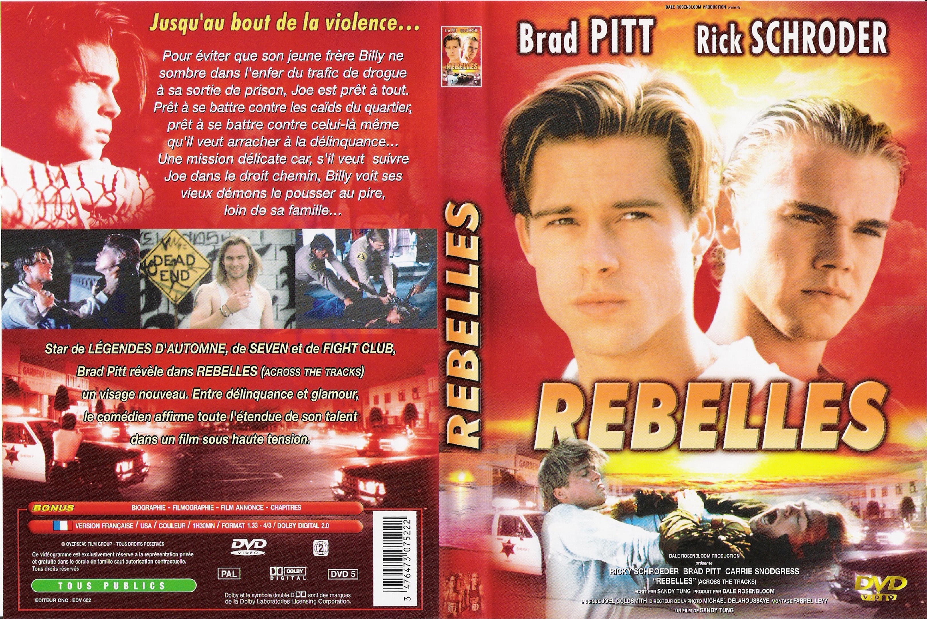 Jaquette DVD Rebelles