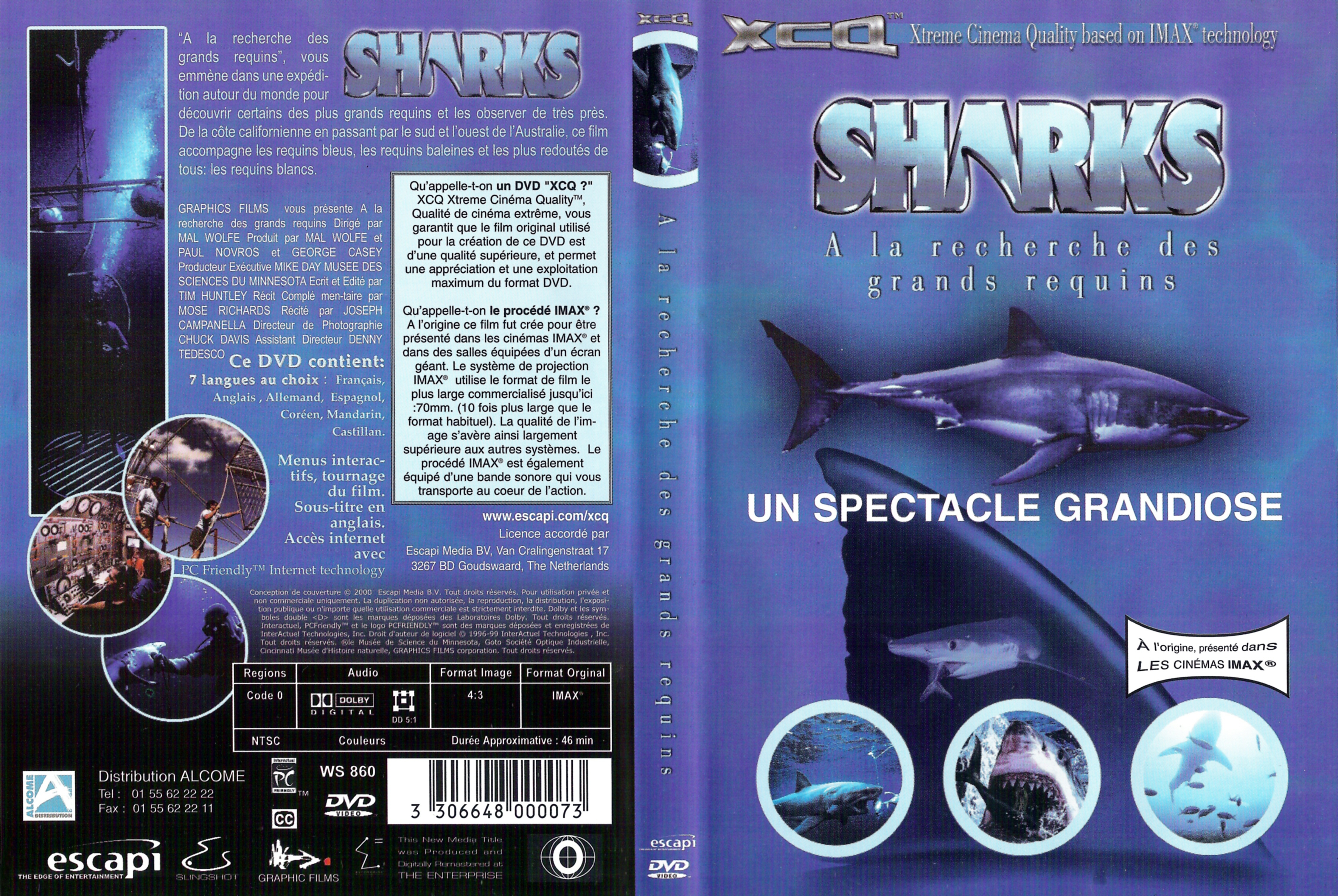 Jaquette DVD Sharks  la recherche des grands requins