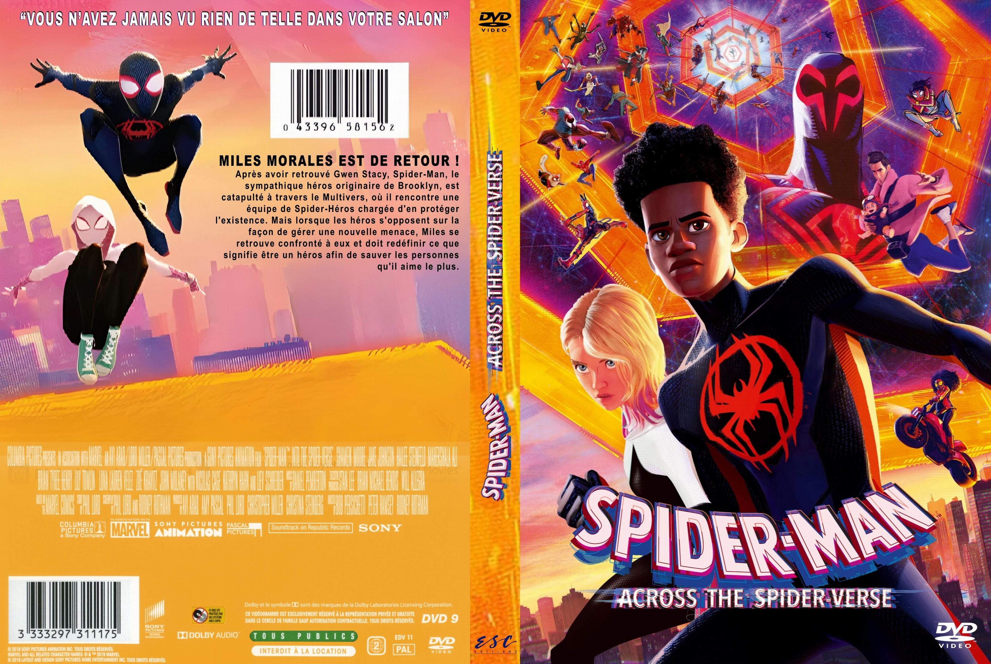 Jaquette DVD Spiderman across the spider verse custom